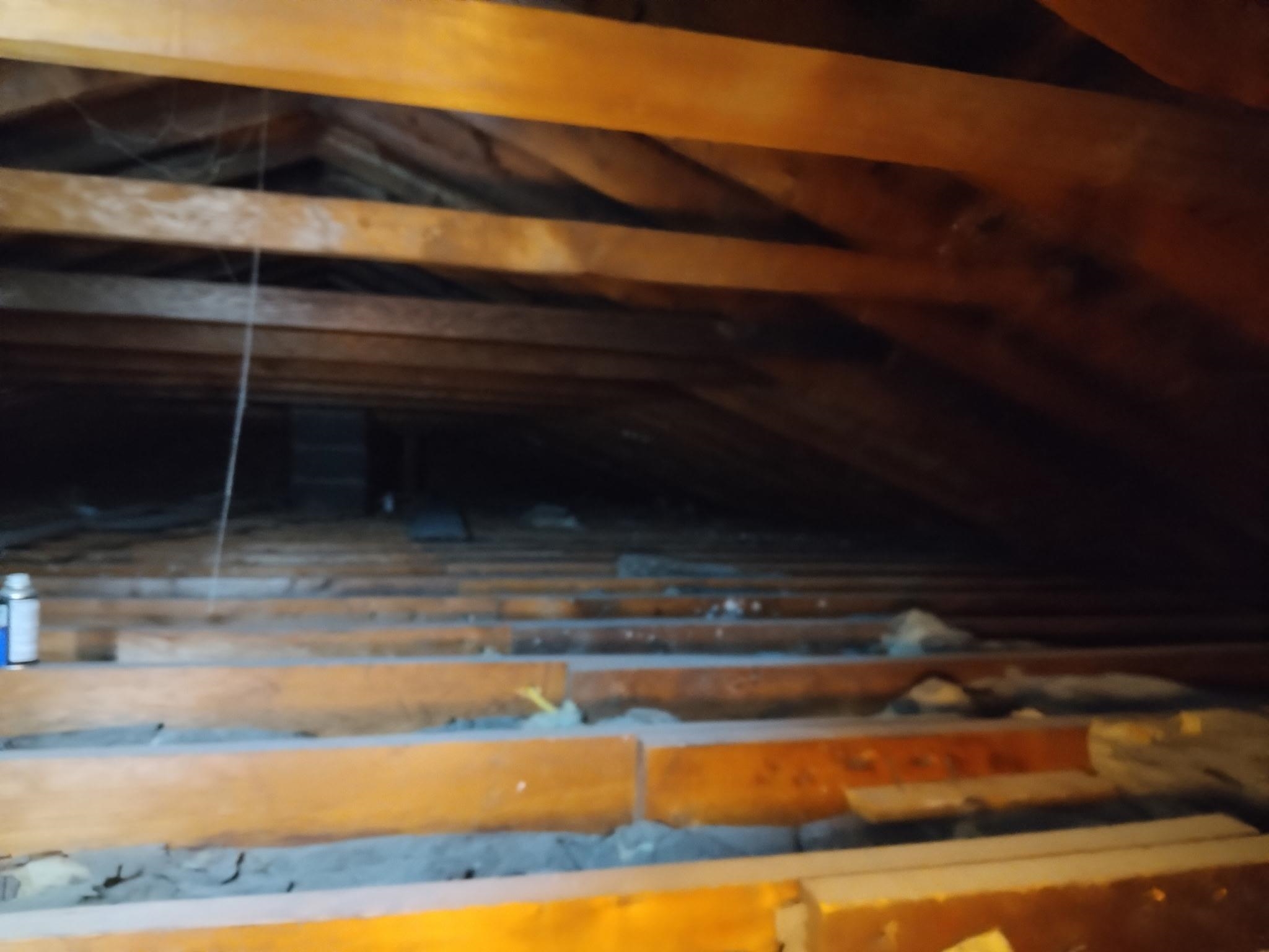 Attic