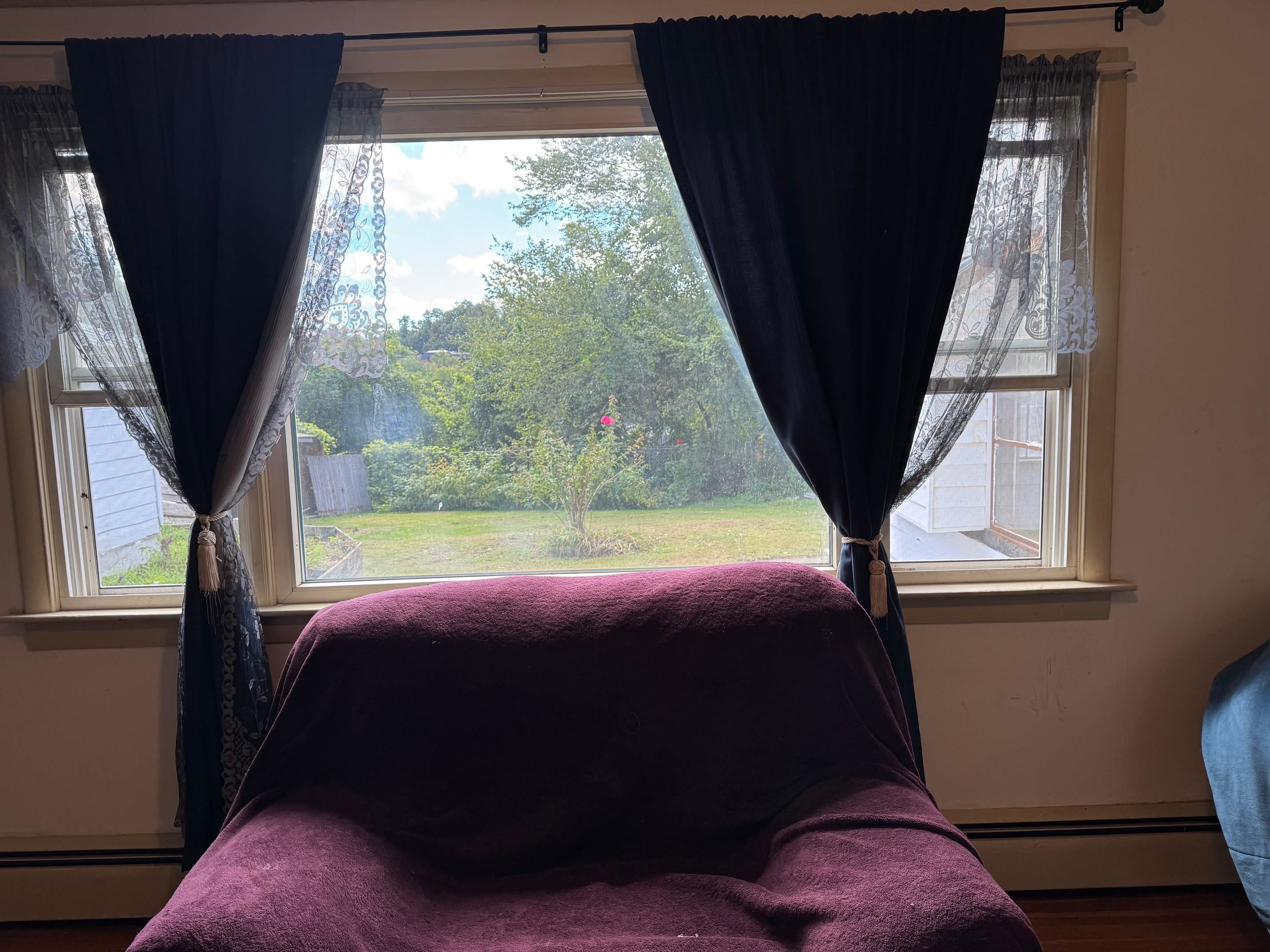 Living room overlooking backyard