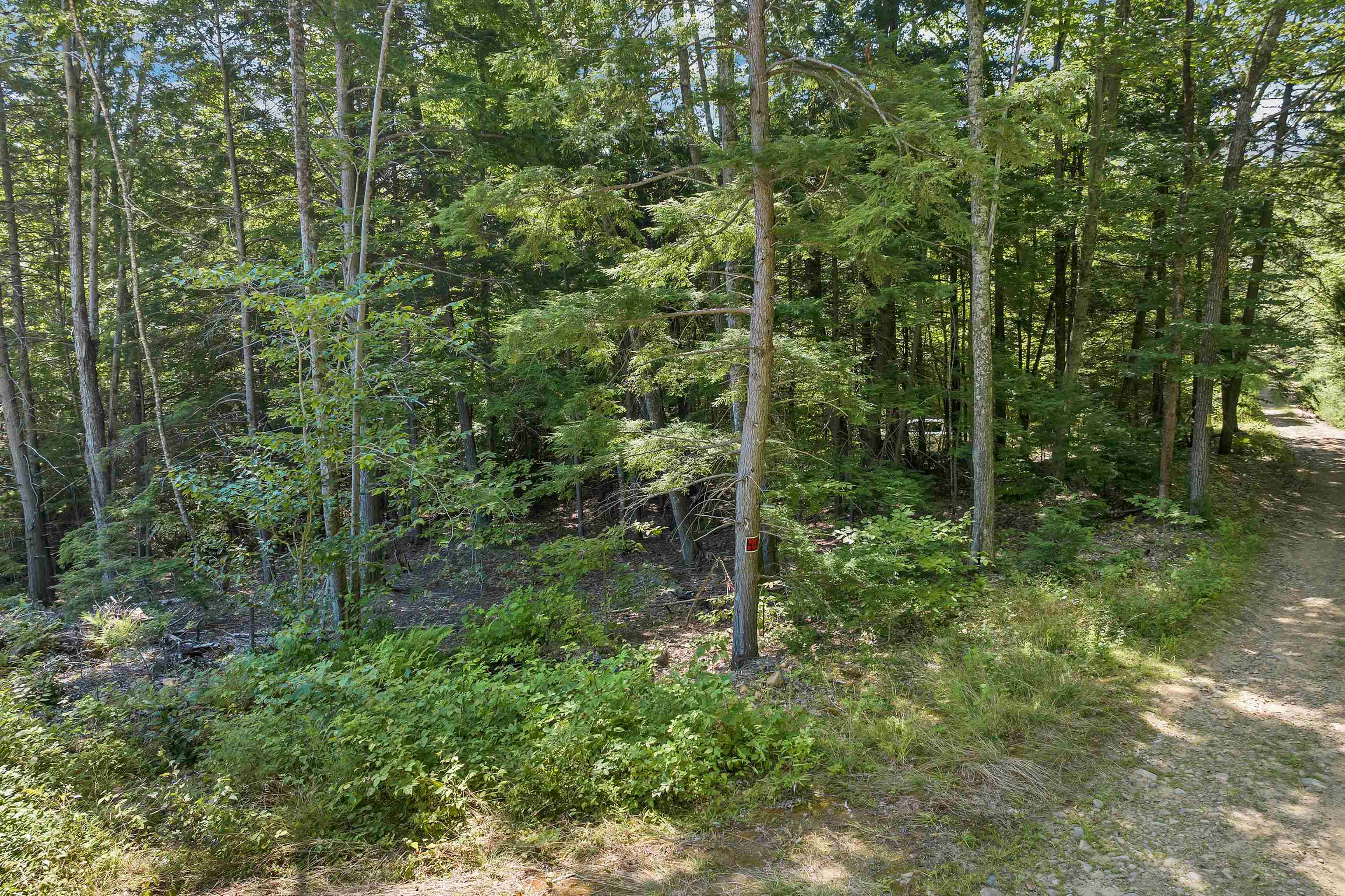 MLS #5056990 image #18