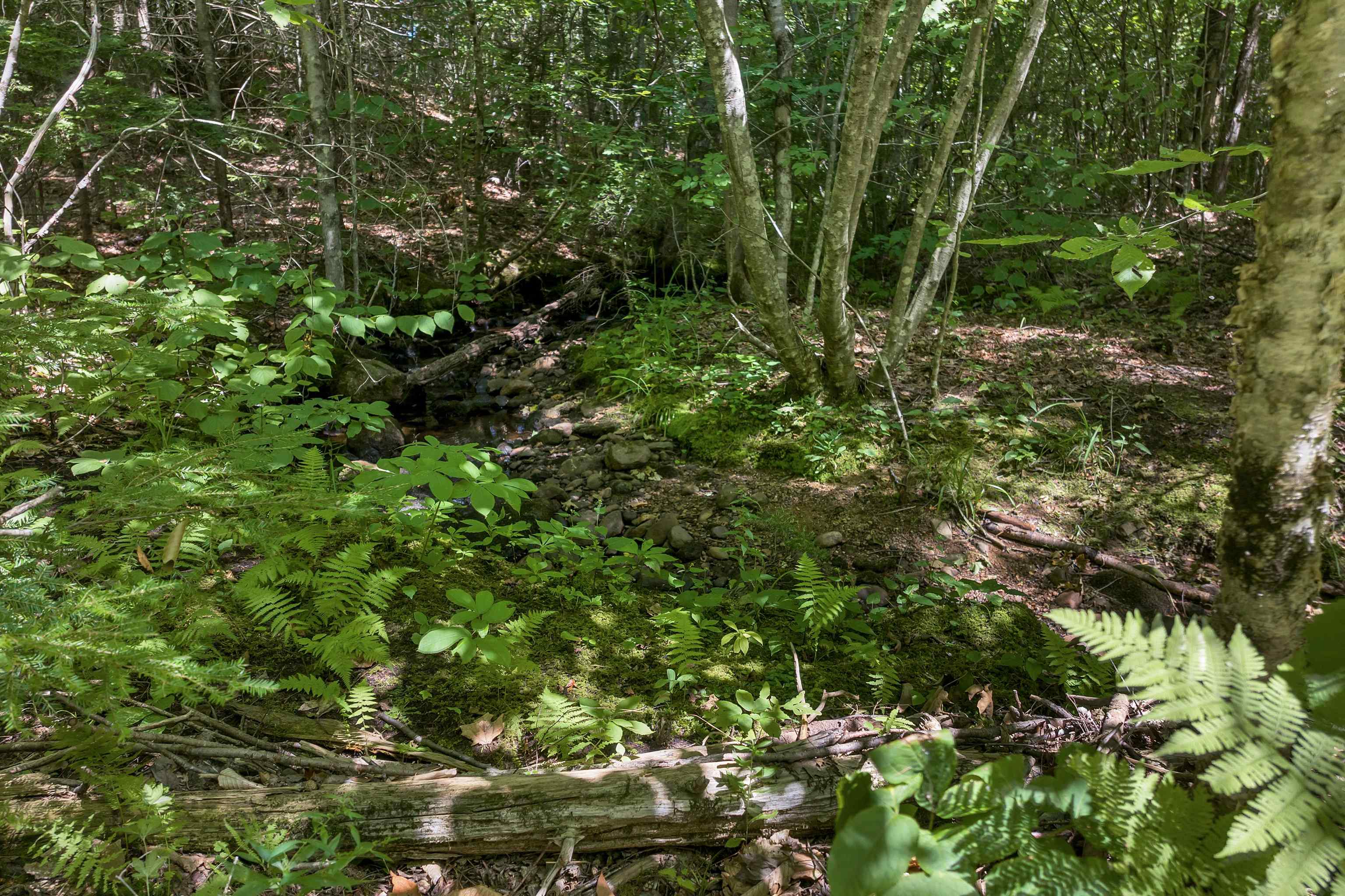 MLS #5056990 image #19