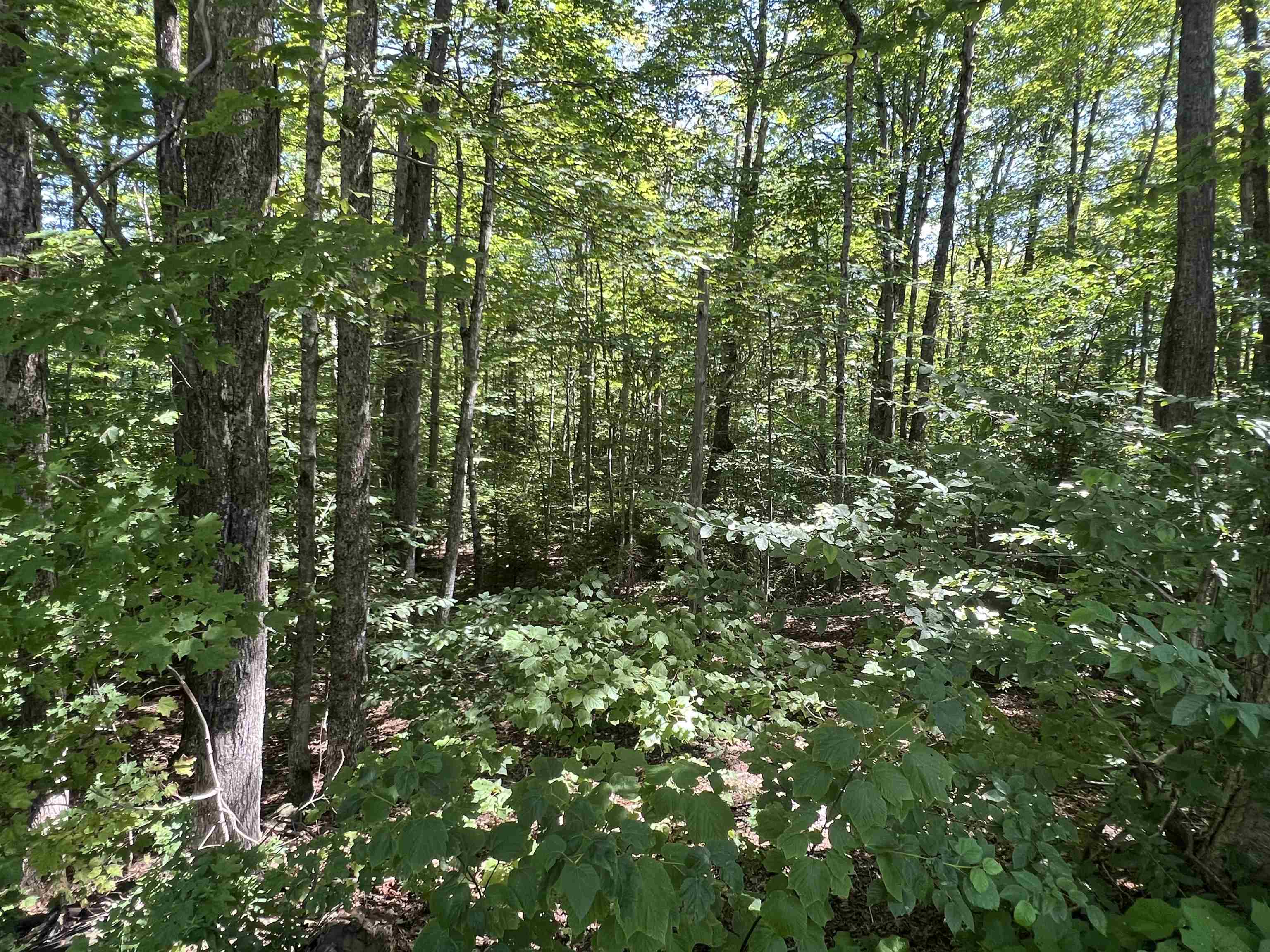 Dover VT Land for sale $39,900 | 1.05 Acres  | Price Per Acre $0 