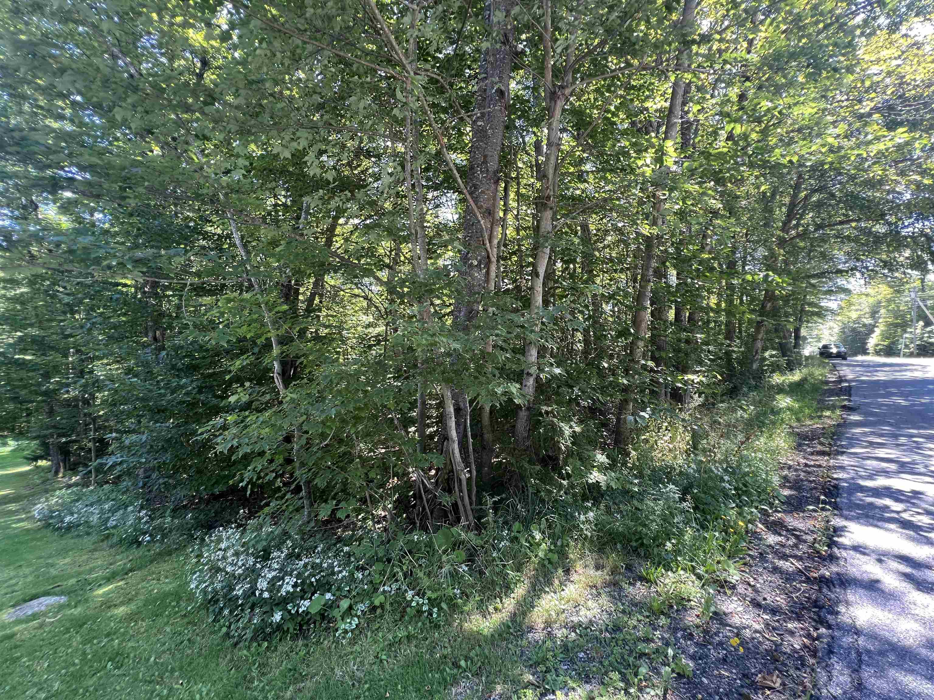 Northwest corner of lot
