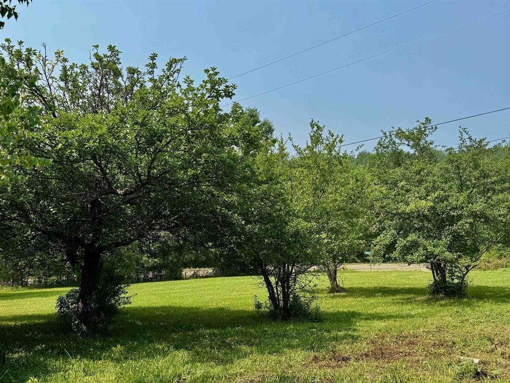 Homes for sale in Wolcott, VT | 68 Blueberry Dr, Wolcott, VT 05680 | MLS# 5057055