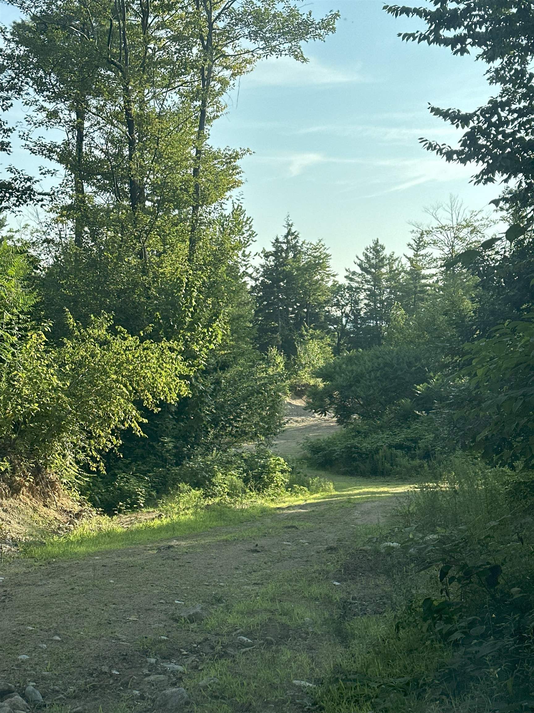 MLS #5057057 image #6