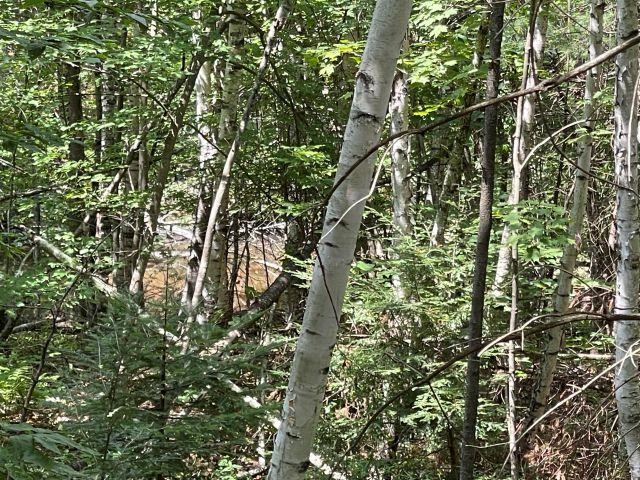 Homes for sale in Hillsborough, NH | M7/l28 Stowe Mountain Rd, Hillsborough, NH 03244 | MLS# 5057063