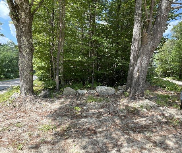 Homes for sale in Hillsborough, NH | M7/l28 Stowe Mountain Rd, Hillsborough, NH 03244 | MLS# 5057063