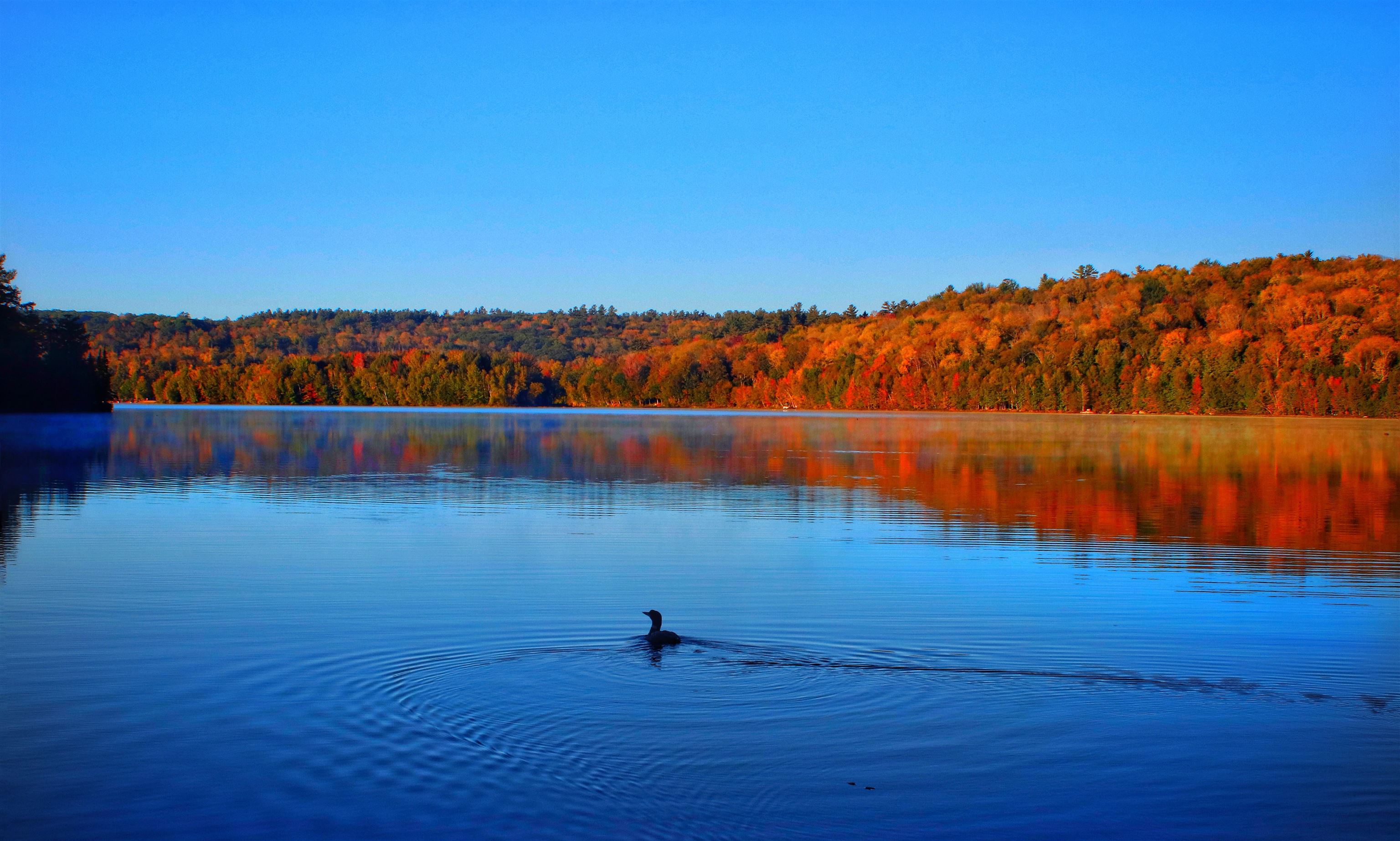 Homes for sale in Grantham, NH | 50 Longwood Dr, Grantham, NH 03753 | MLS# 5057099