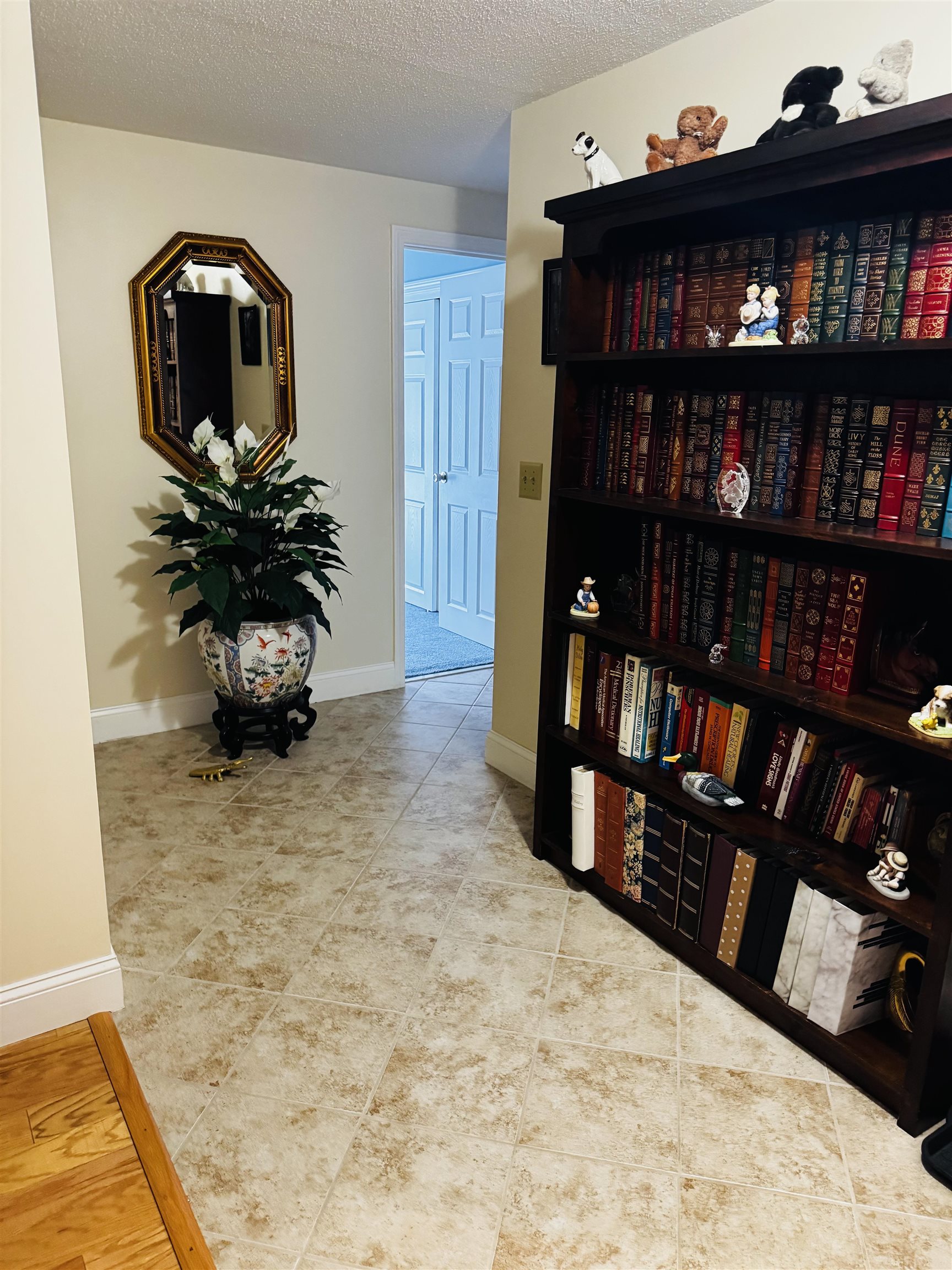 Photo 5 of 28