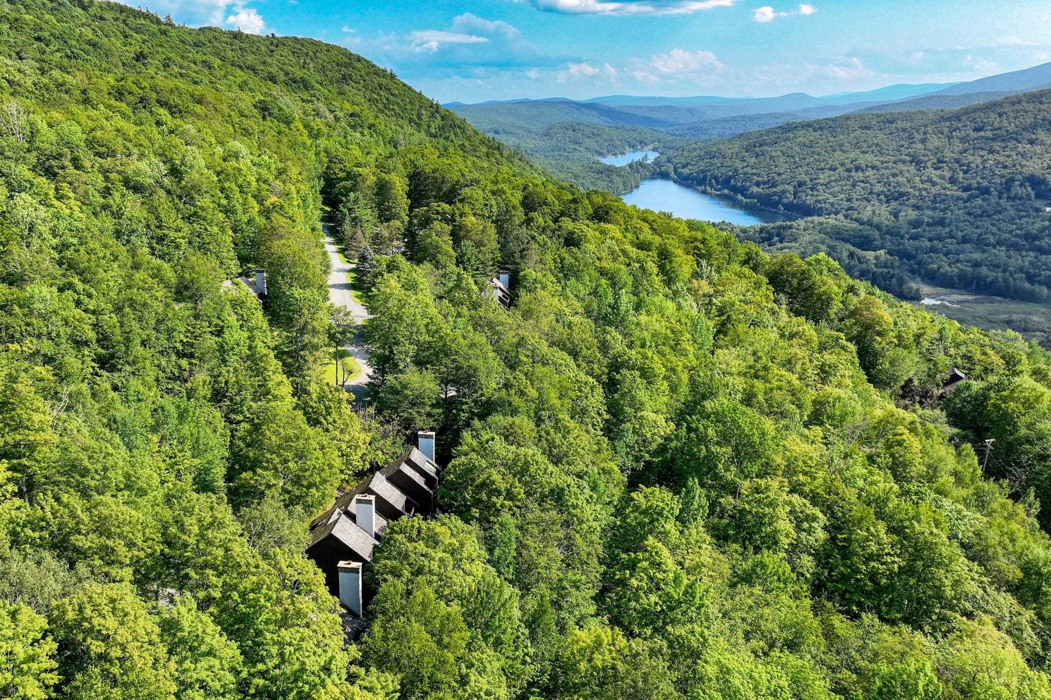 MLS #5057281 image #42