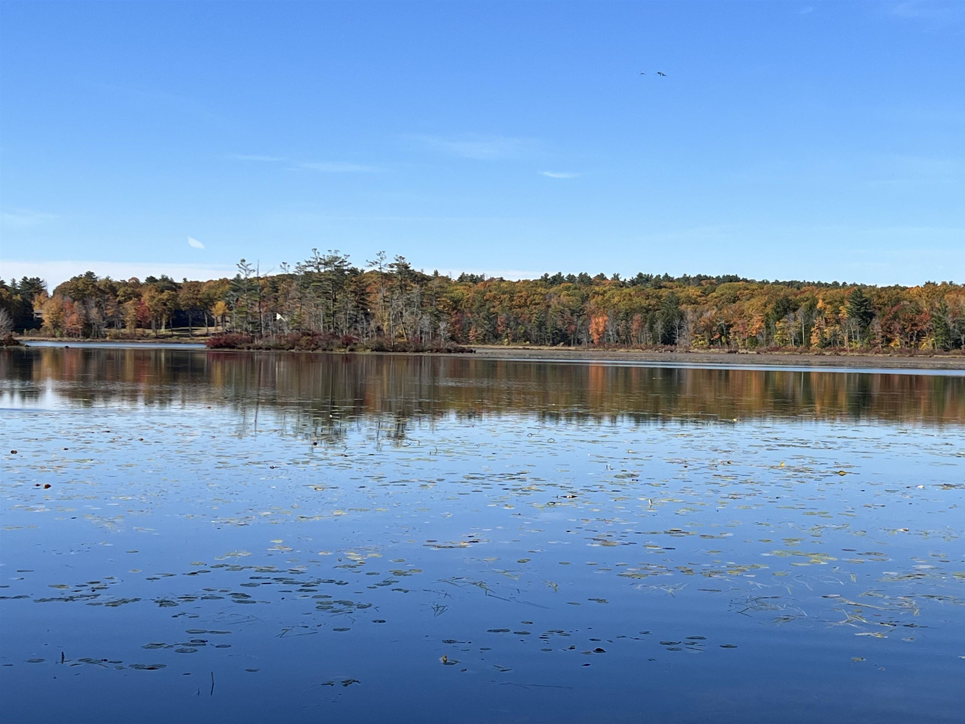 Fall at Shellcamp Pond