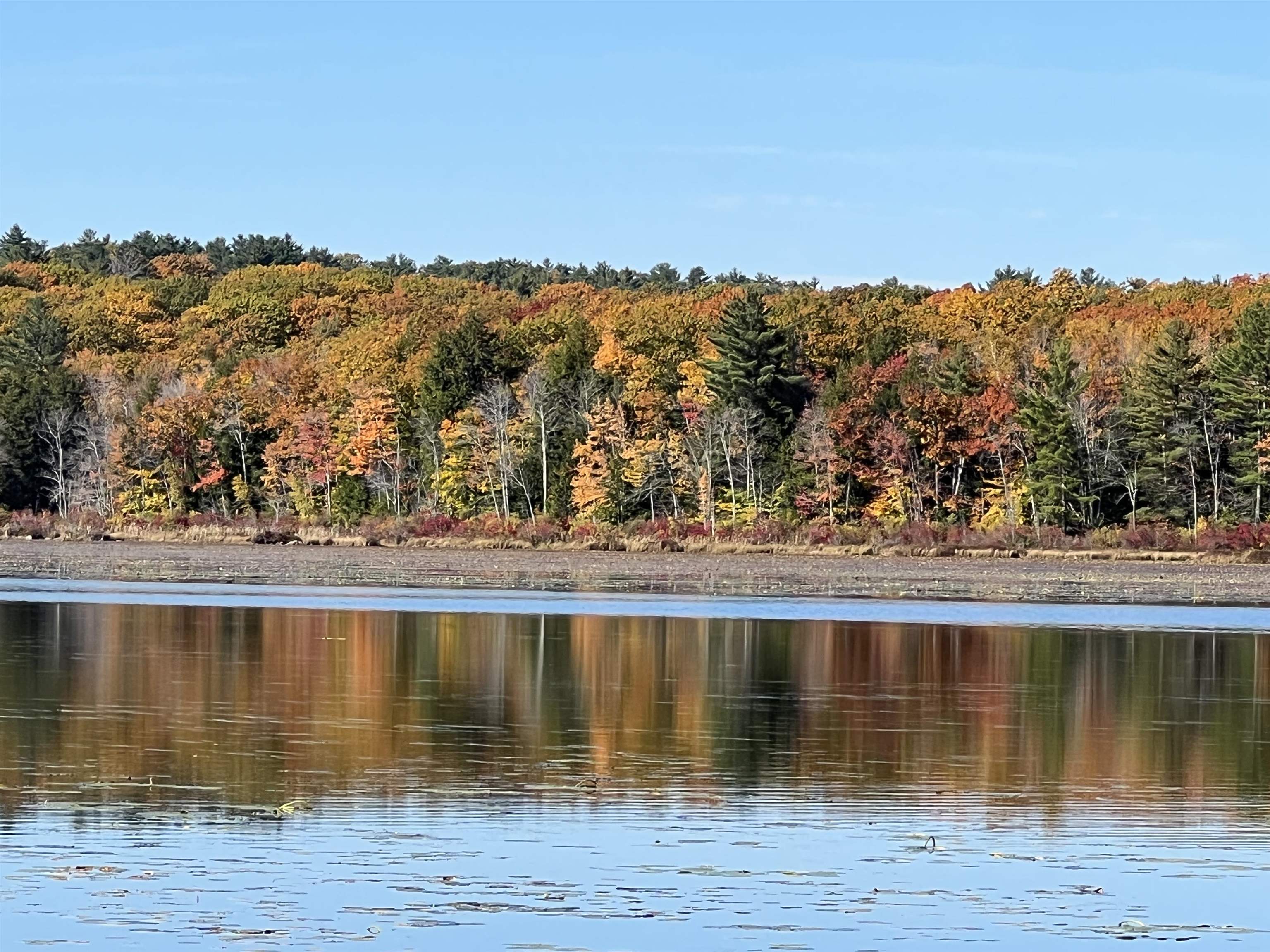 Fall at Shellcamp Pond
