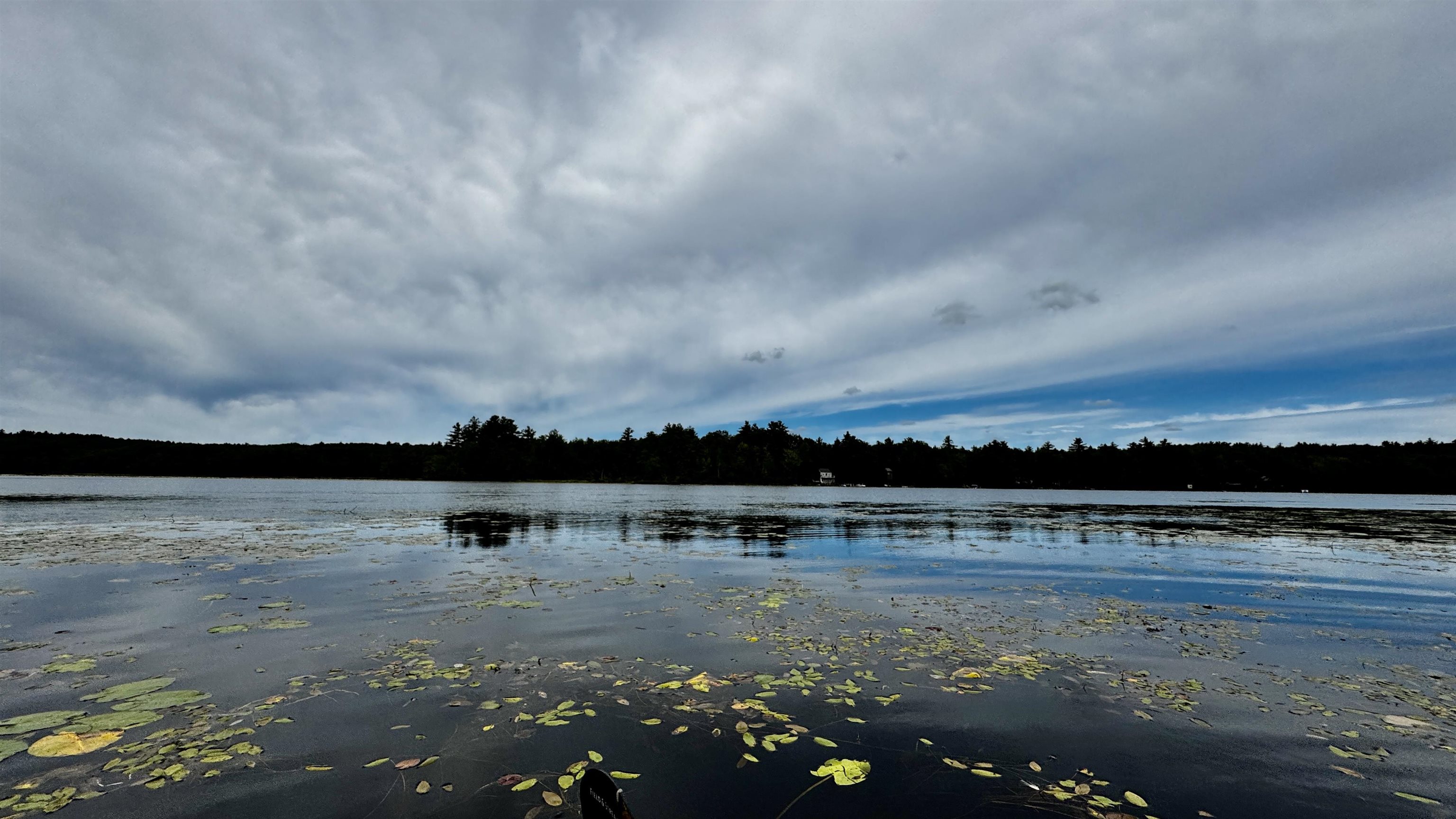 Shellcamp Pond