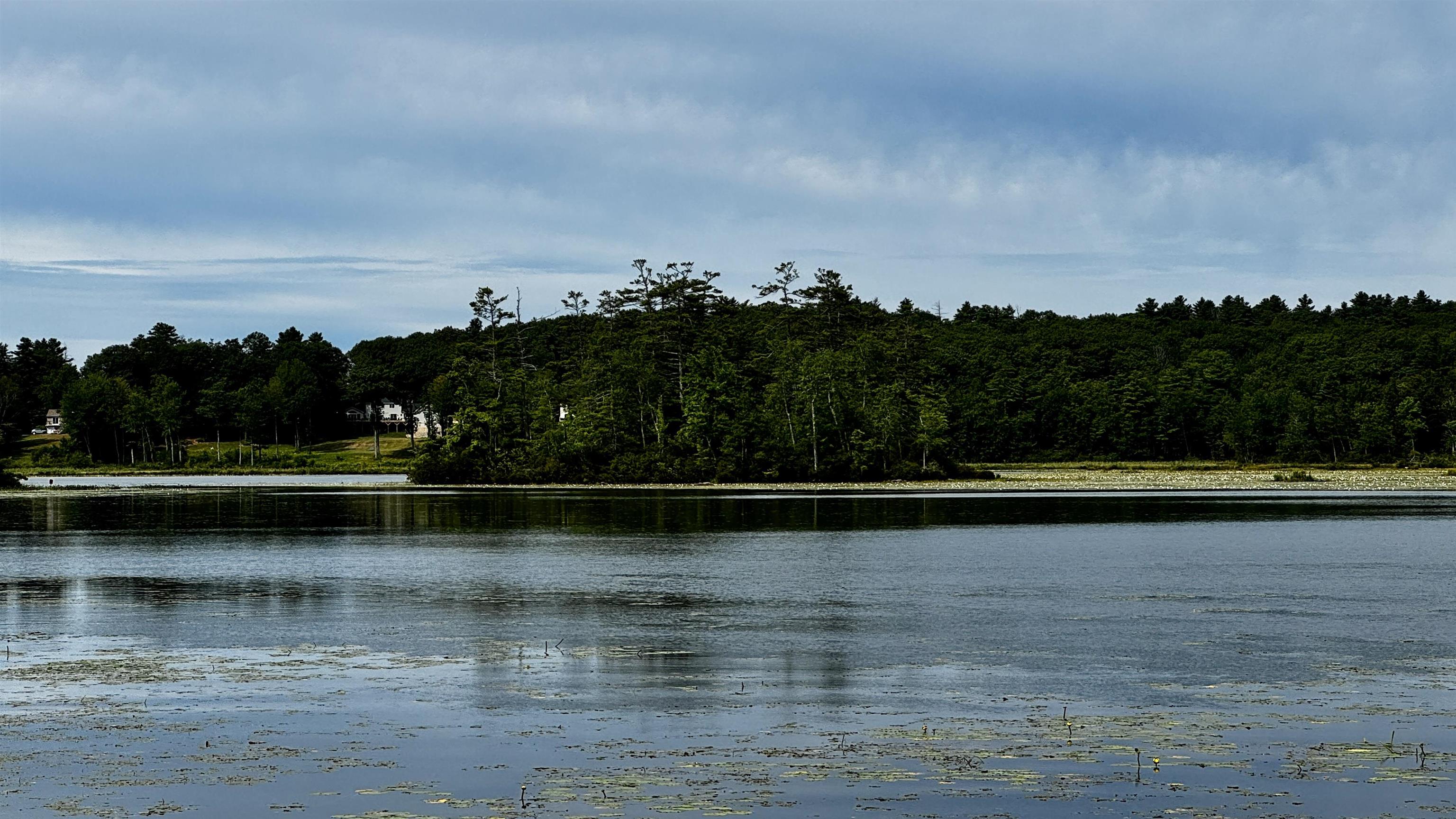 Shellcamp Pond