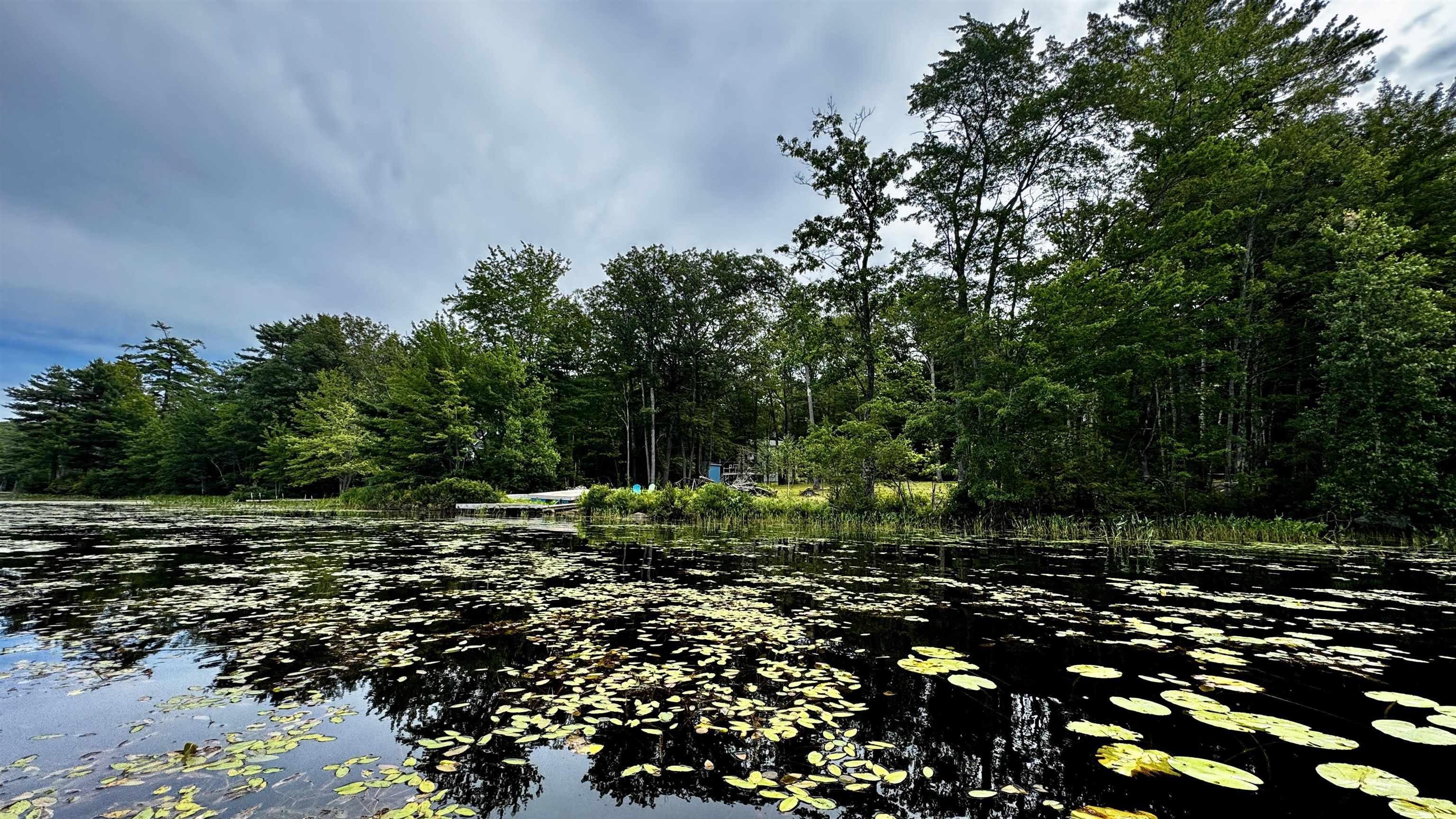 MLS #5057301 image #8