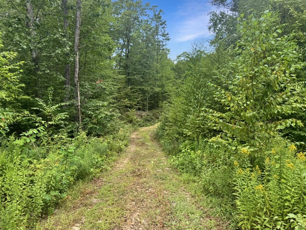 Homes for sale in Kingston, NH | 9 Lefevre Dr, Kingston, NH 03848 | MLS# 5057324