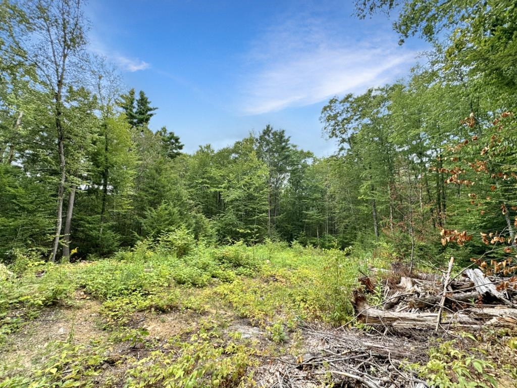 Homes for sale in Kingston, NH | 9 Lefevre Dr, Kingston, NH 03848 | MLS# 5057324