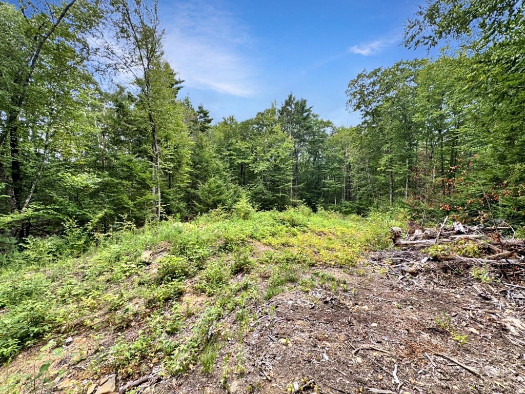 Homes for sale in Kingston, NH | 9 Lefevre Dr, Kingston, NH 03848 | MLS# 5057324