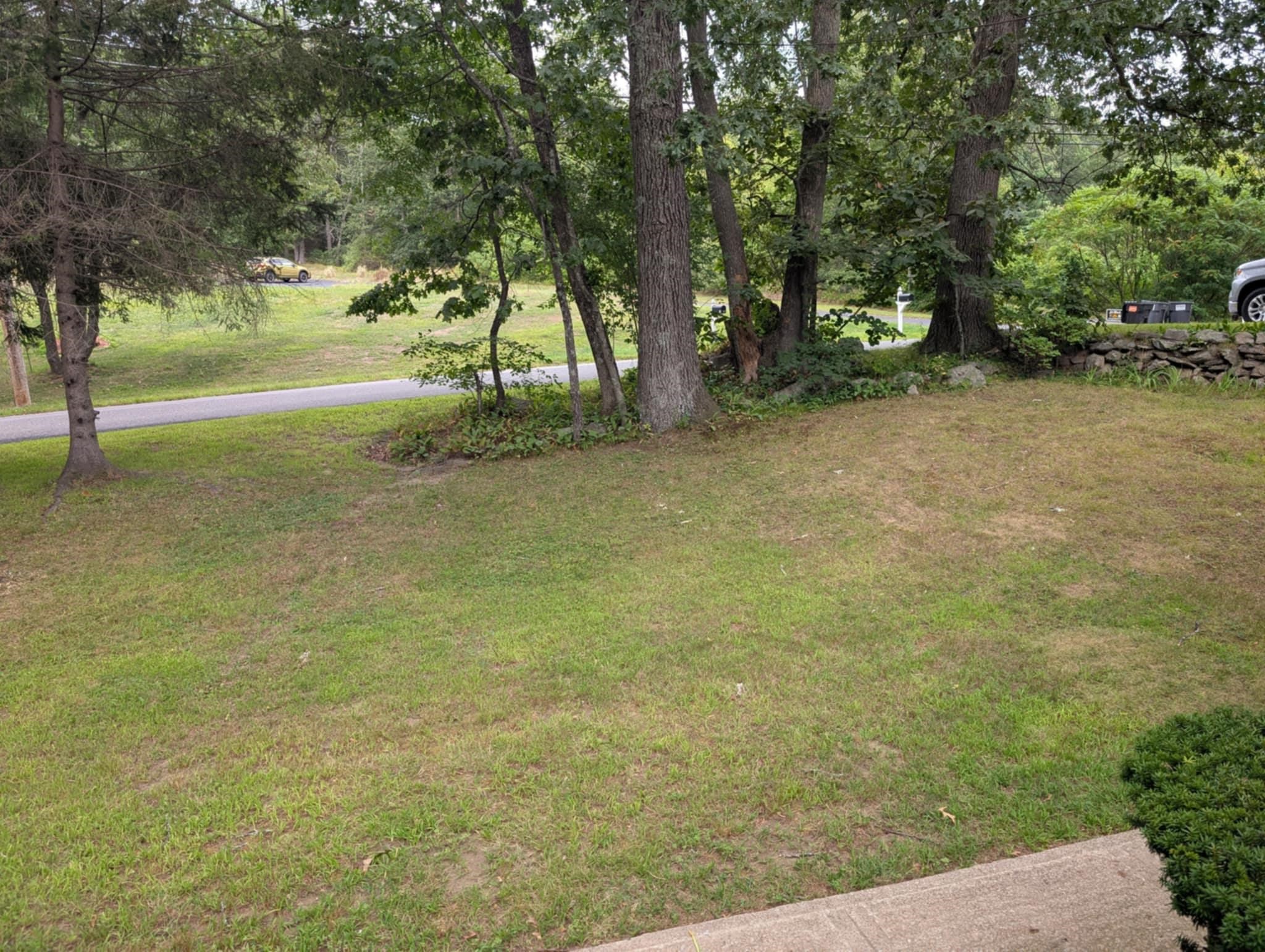 Photo 7 of 18
