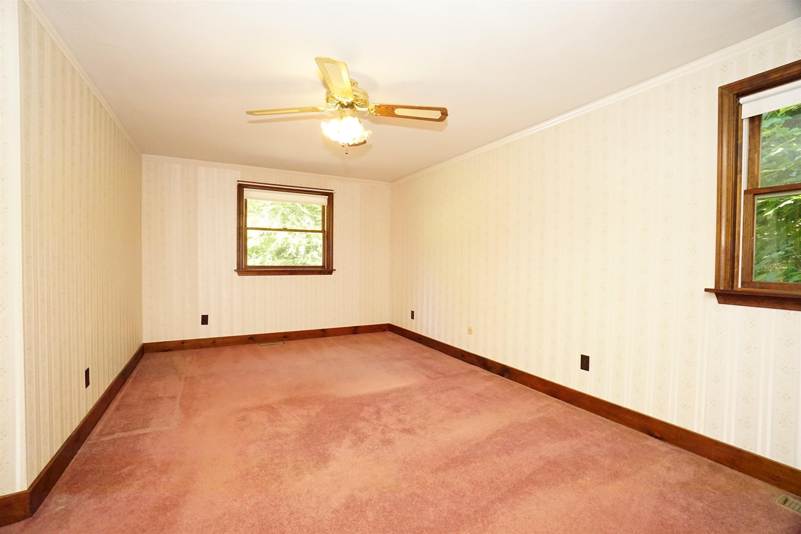 Photo 11 of 60