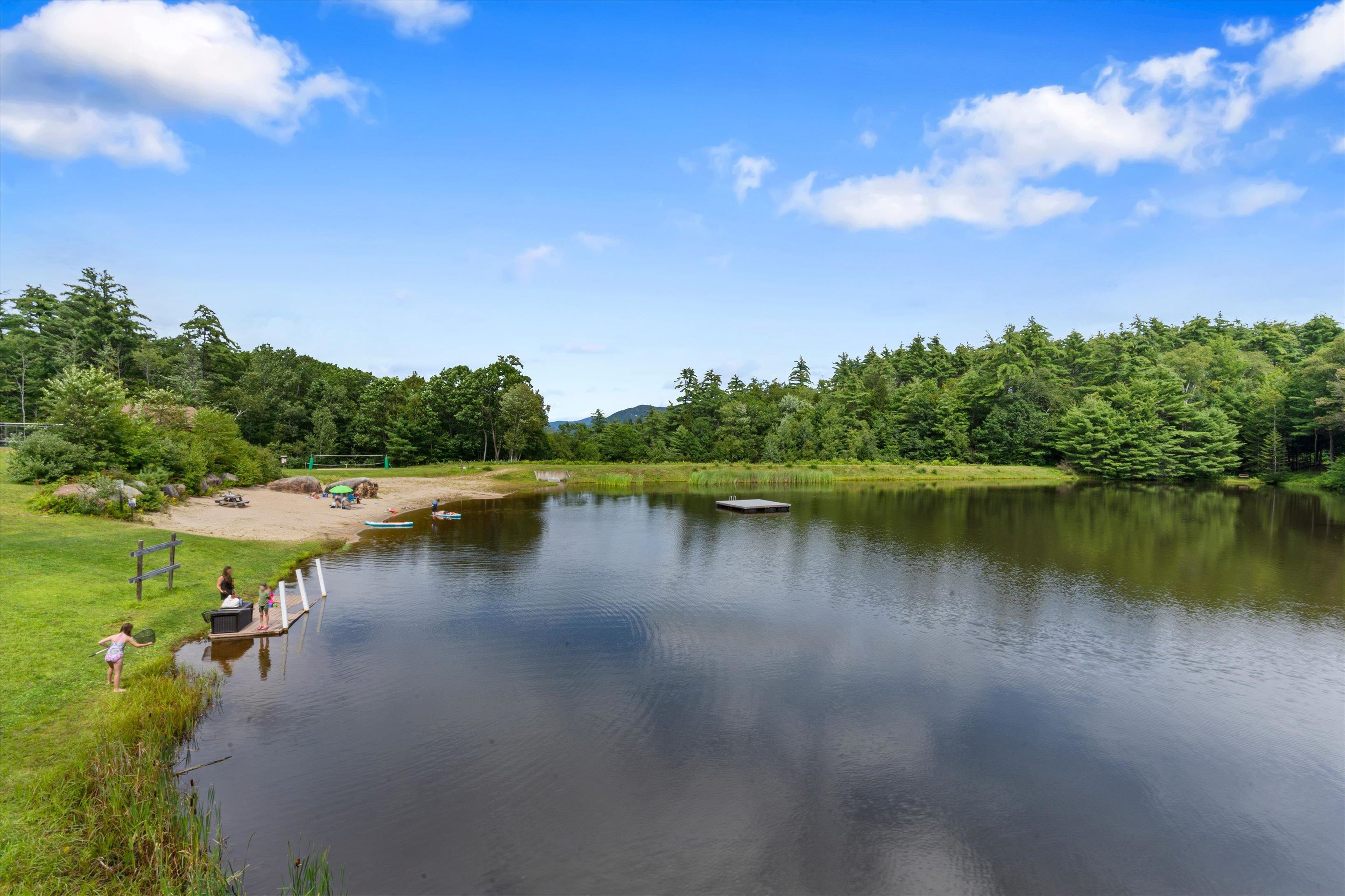 MLS #5057334 image #42