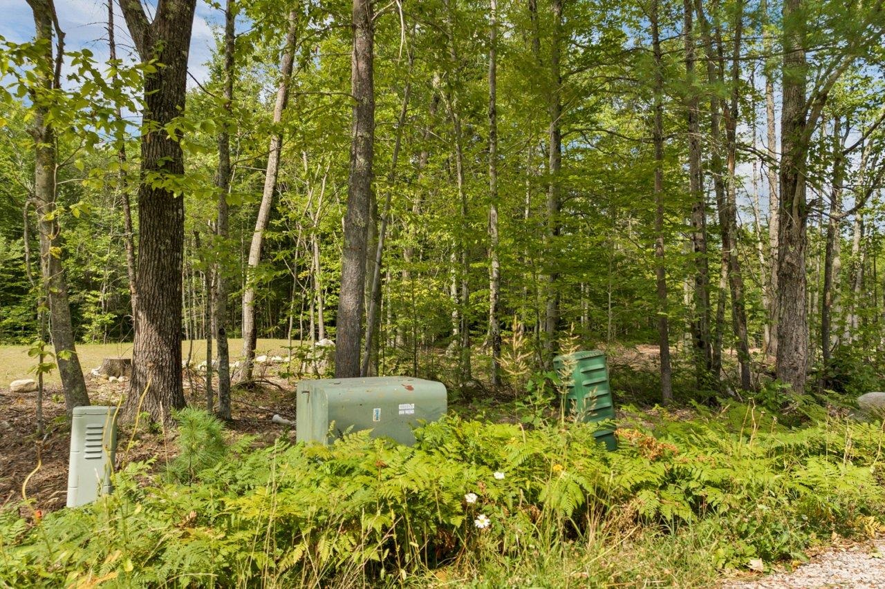 MLS #5057345 image #13