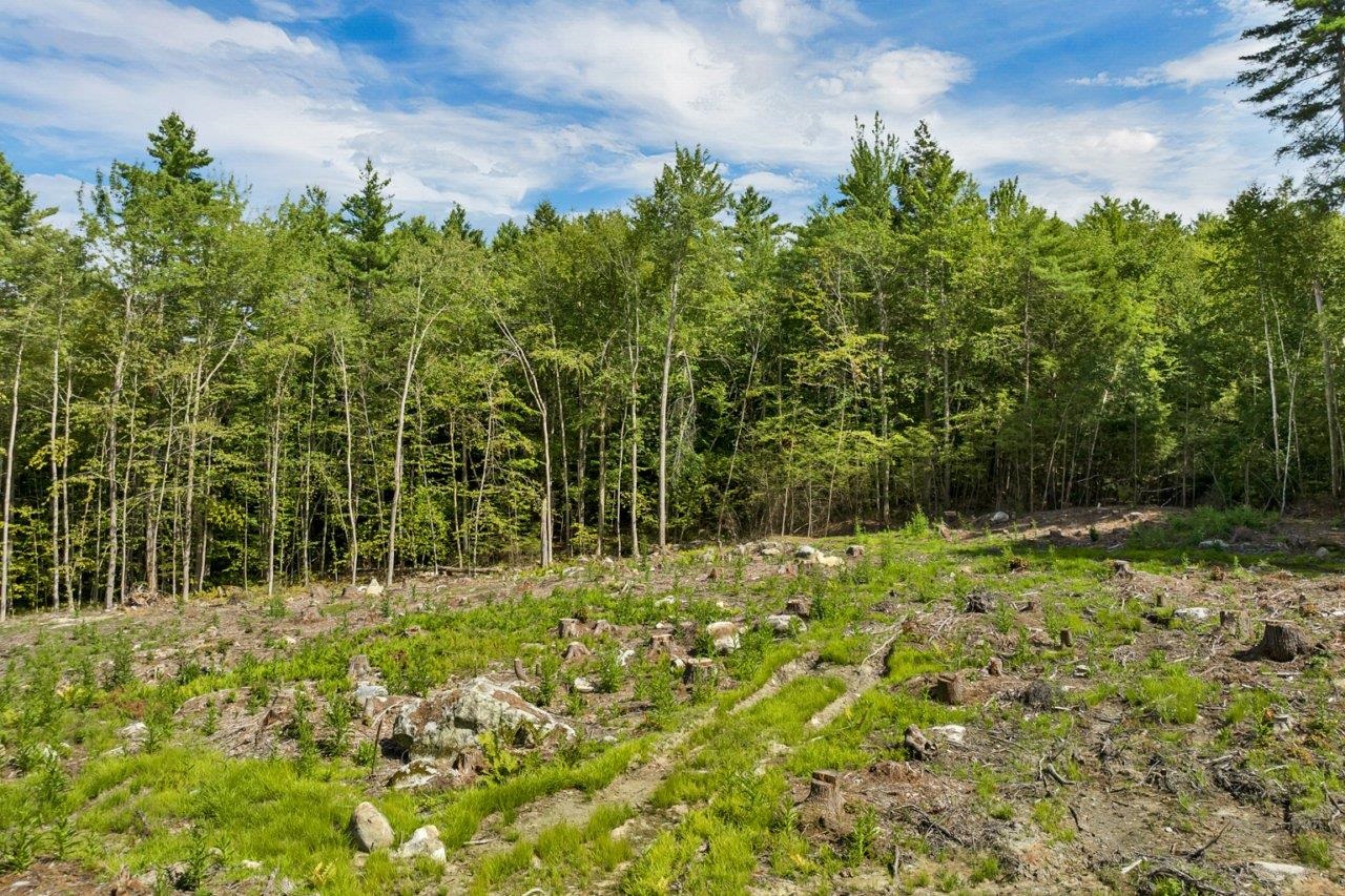 MLS #5057345 image #6