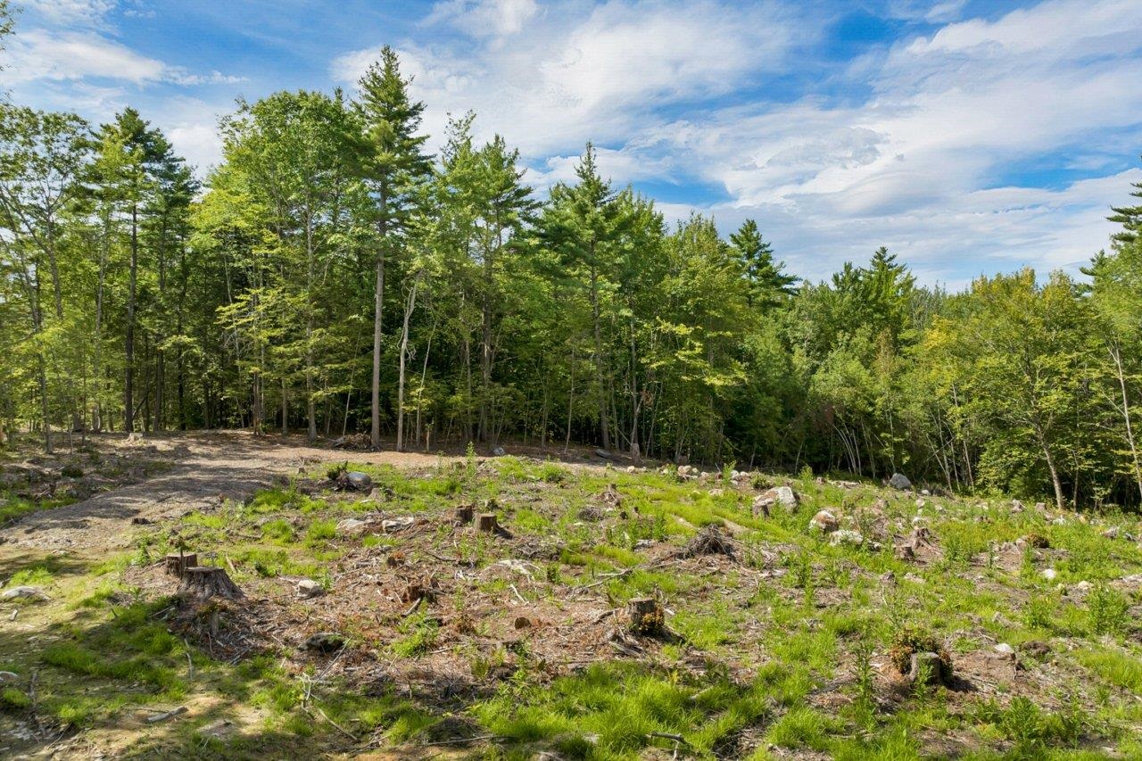 MLS #5057345 image #7