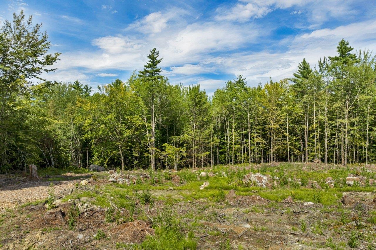 MLS #5057345 image #8