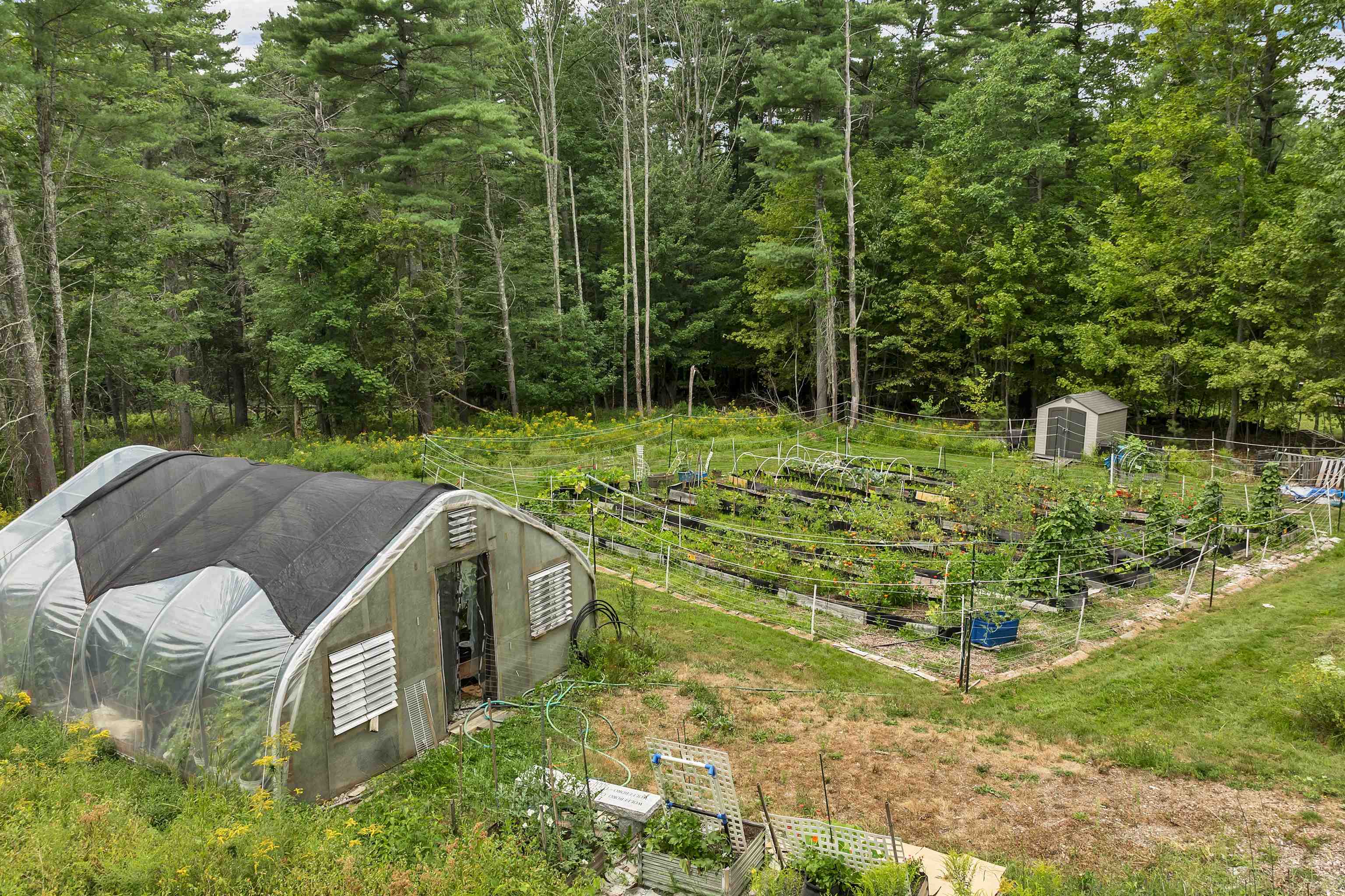 community park/garden