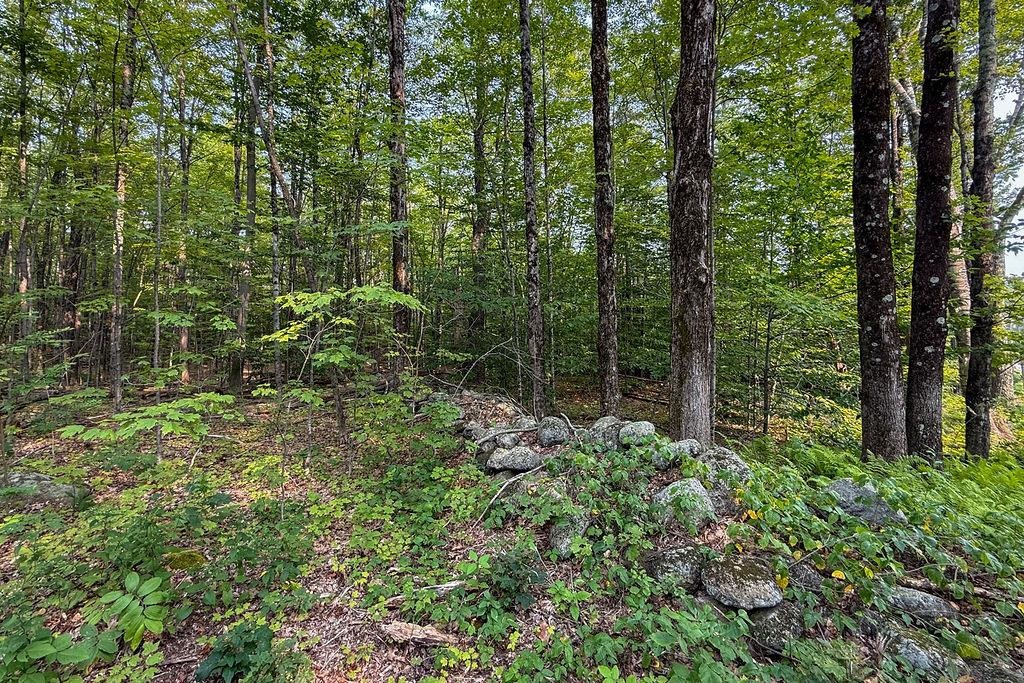 MLS #5057717 image #1