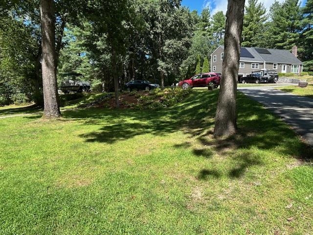 Photo 30 of 42
