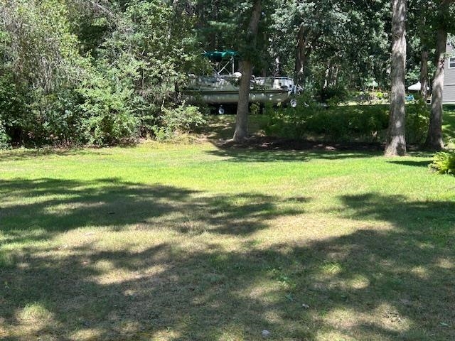 Photo 31 of 42