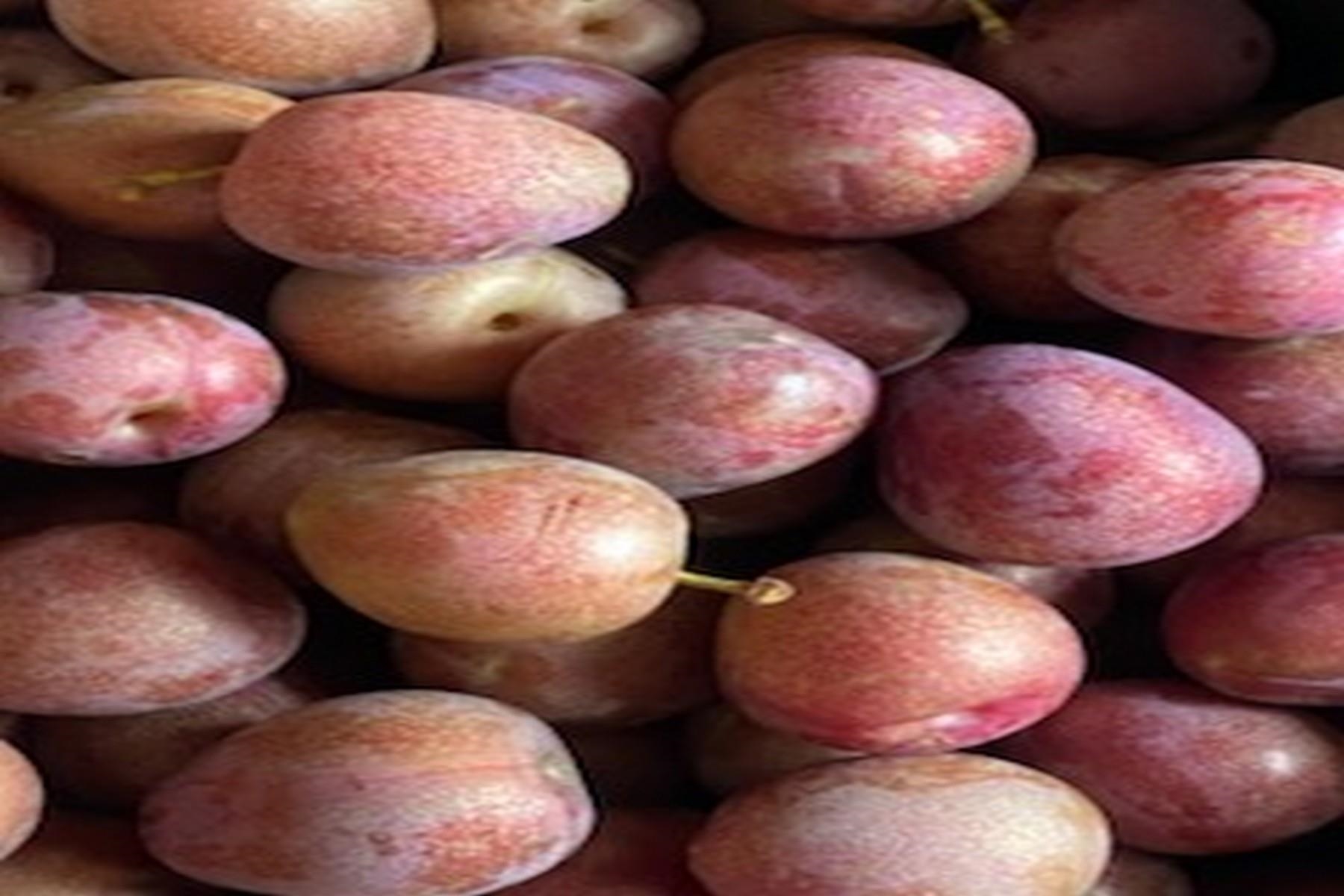 Homes for sale in Pittsford, VT | 2636 Vt Route 3, Pittsford, VT 05763 | MLS# 5057934