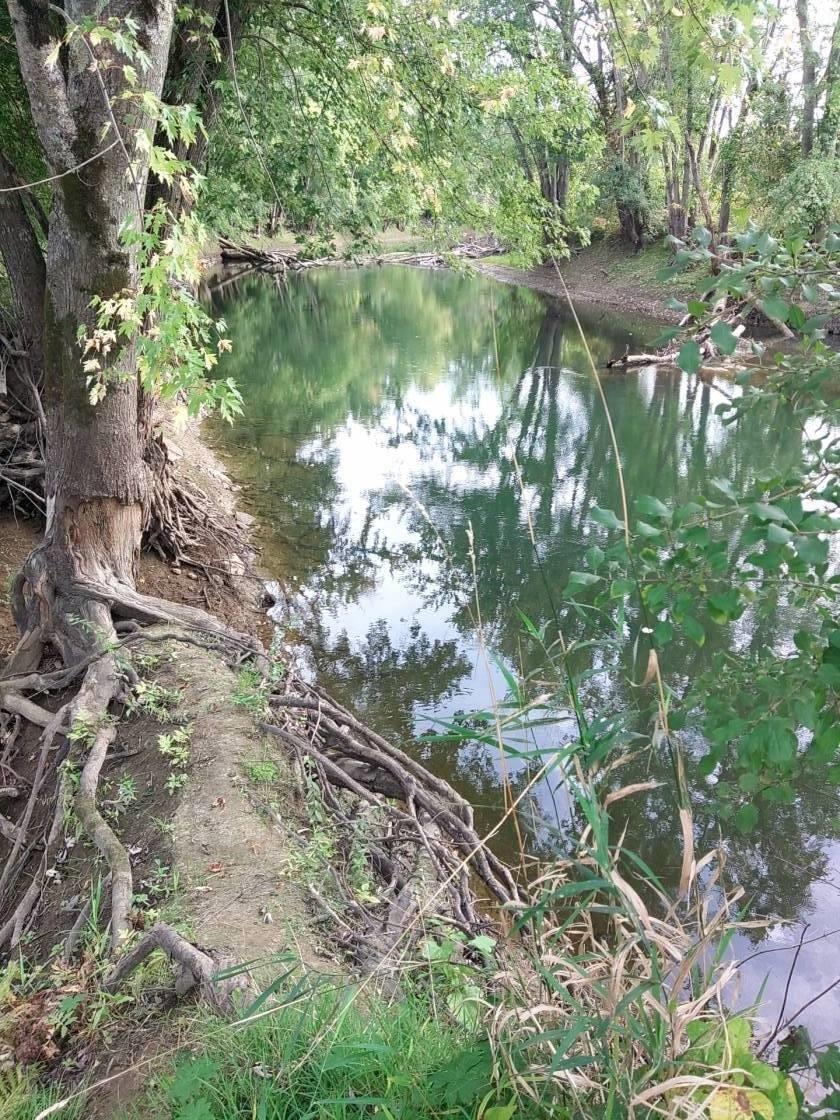 Homes for sale in Brandon, VT | 900 Pearl St, Brandon, VT 05733 | MLS# 5058042