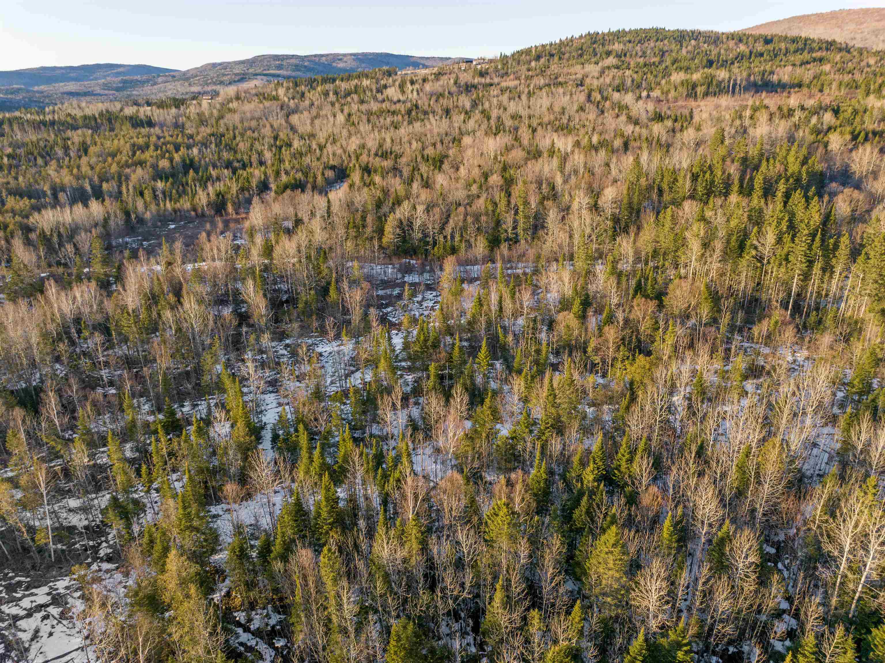 Homes for sale in Colebrook, NH | Diamond Pond Rd, Colebrook, NH 03576 | MLS# 5058047