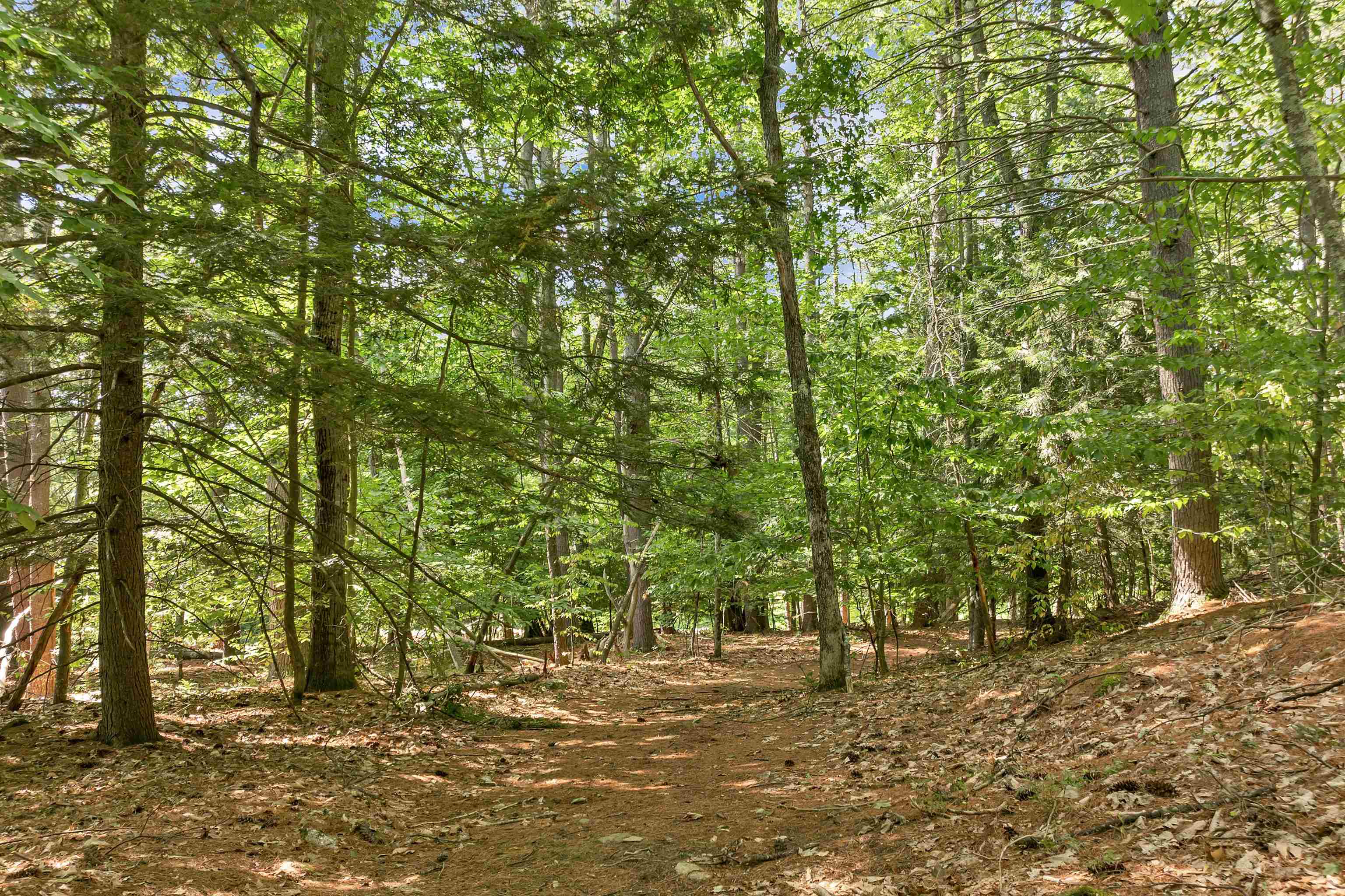 MLS #5058307 image #15