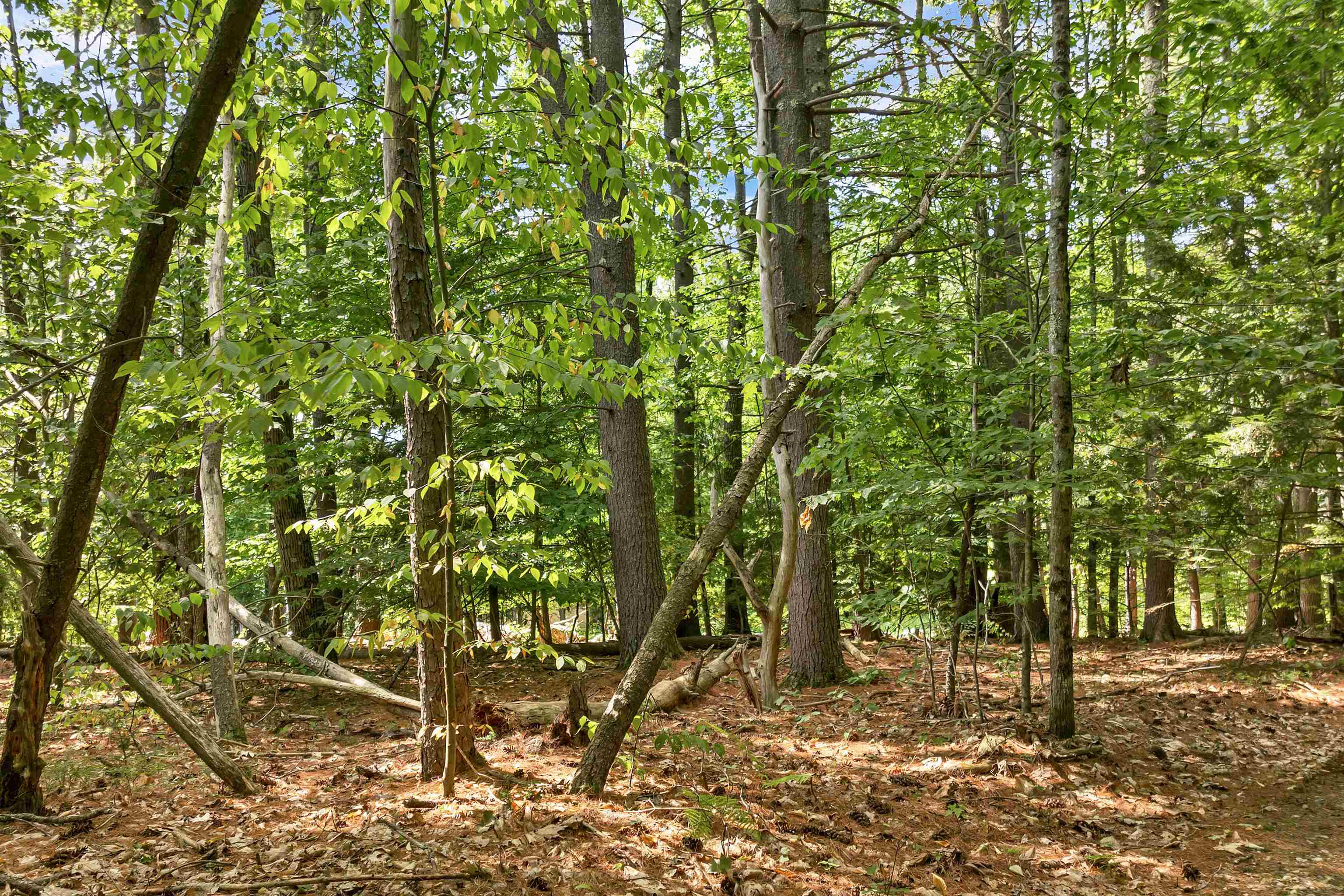 MLS #5058307 image #16