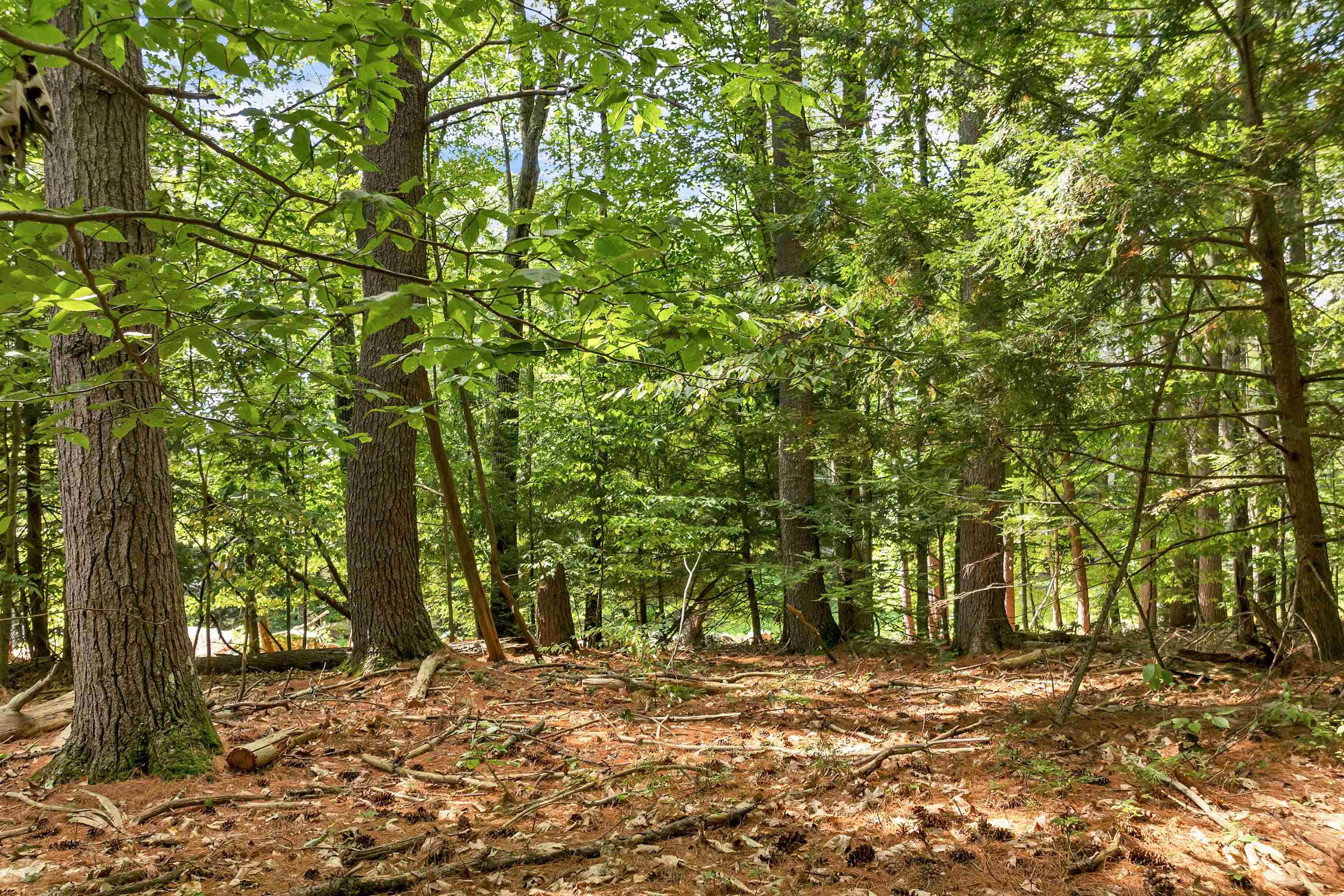 MLS #5058307 image #17