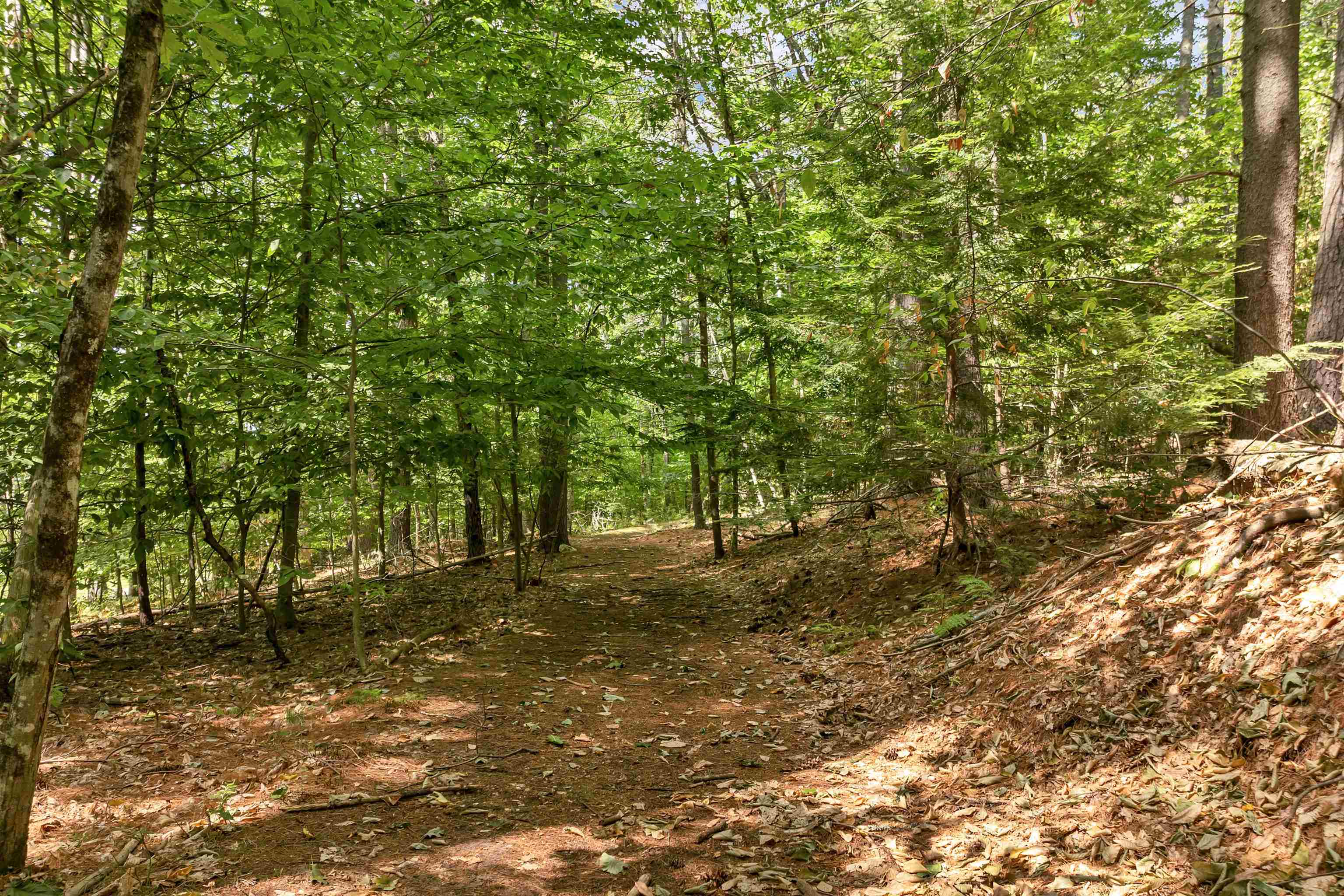 MLS #5058307 image #18