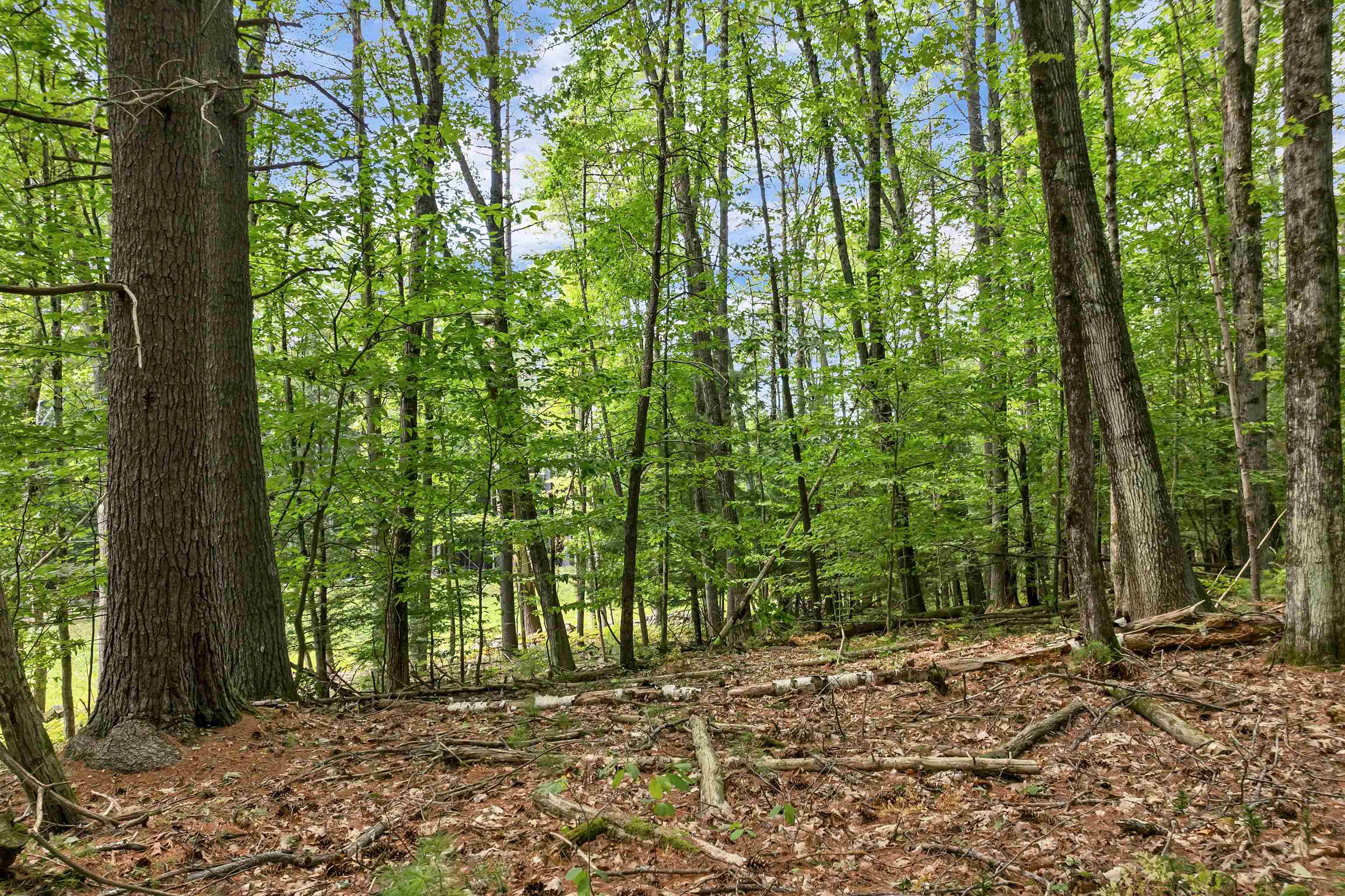 MLS #5058307 image #20