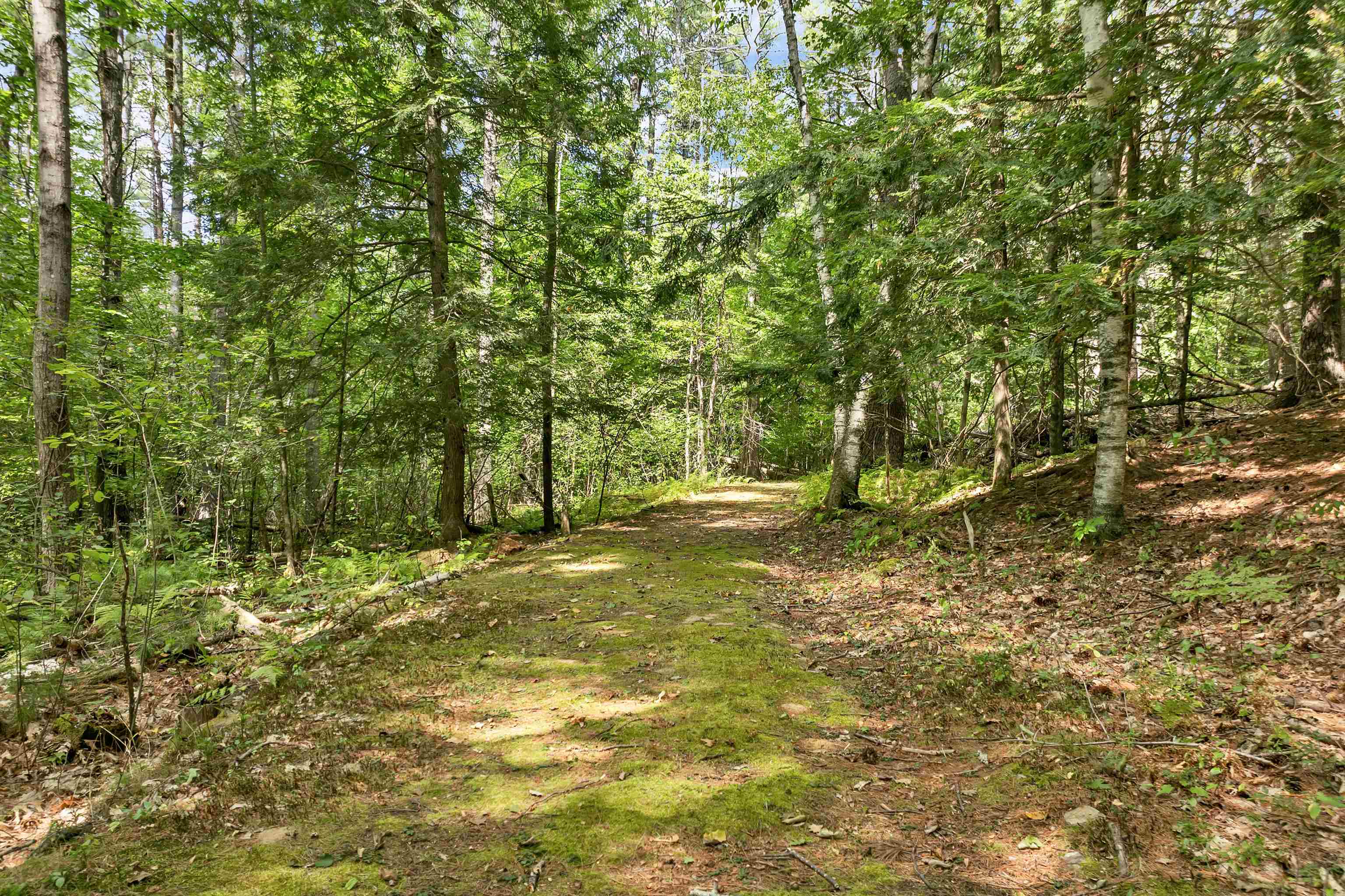 MLS #5058307 image #21