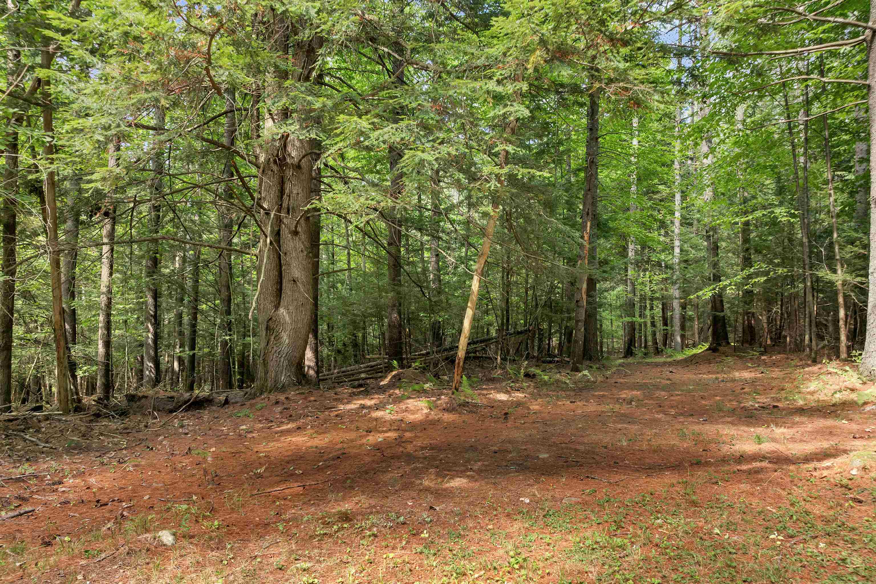 MLS #5058307 image #24