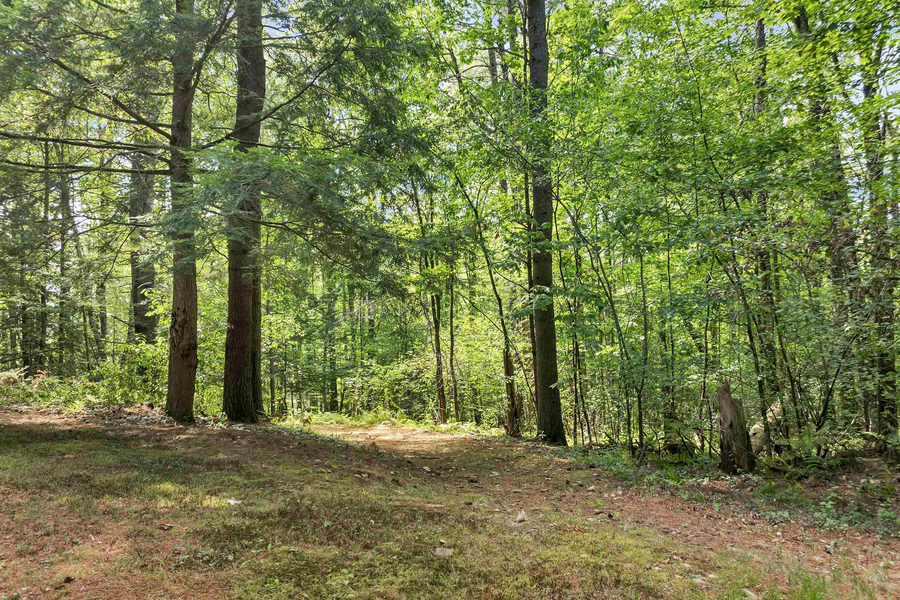 MLS #5058307 image #25