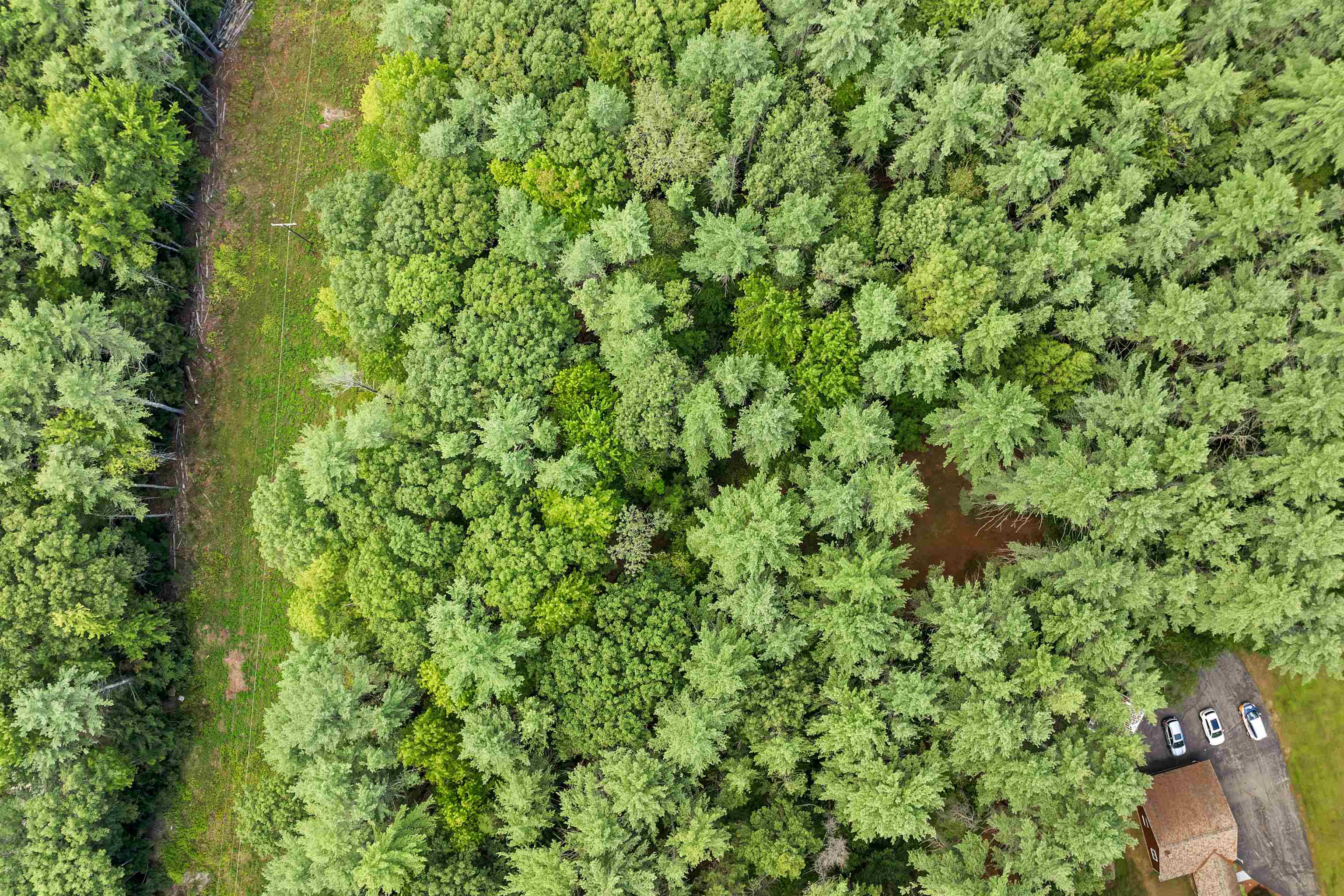 MLS #5058307 image #8