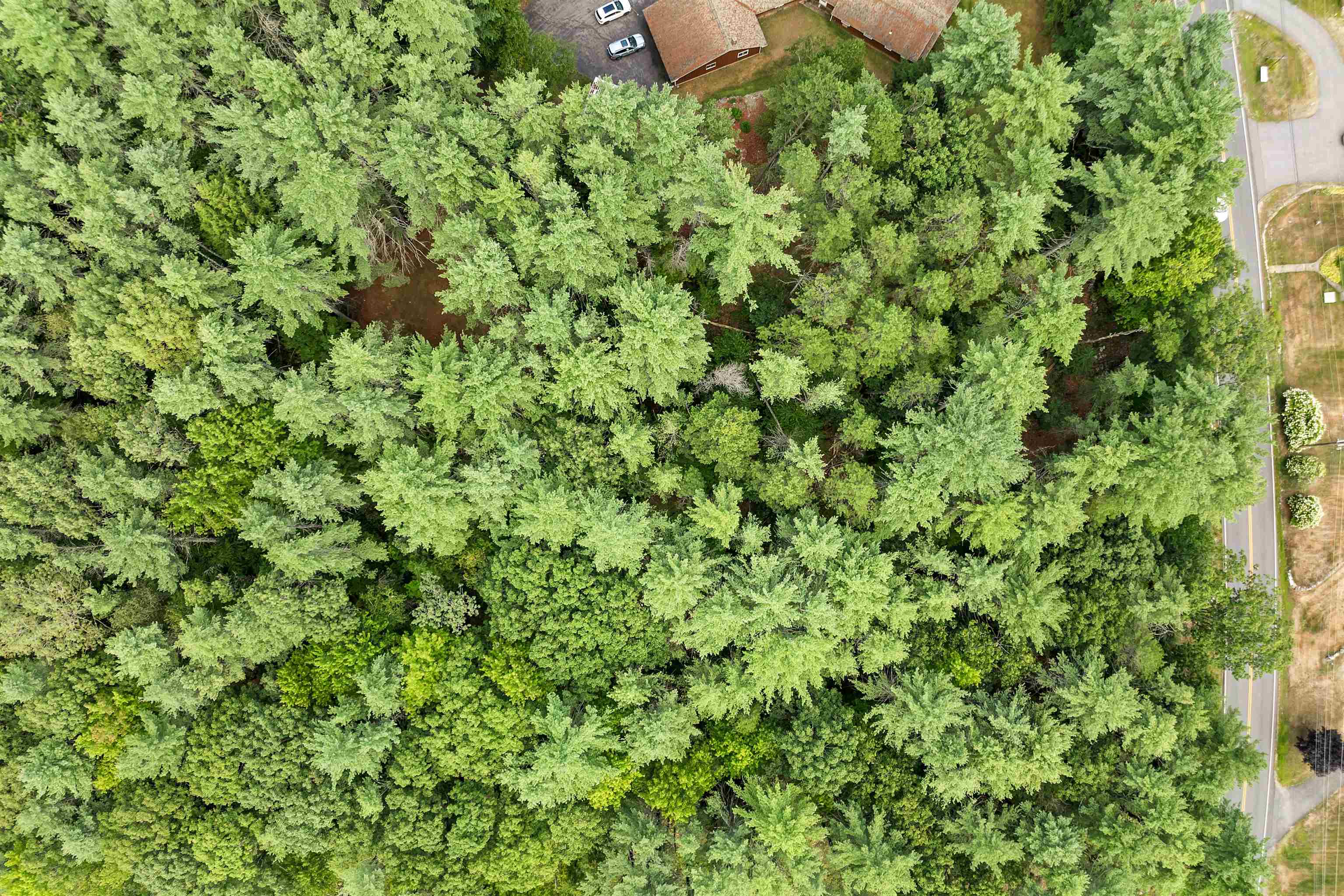 MLS #5058307 image #9