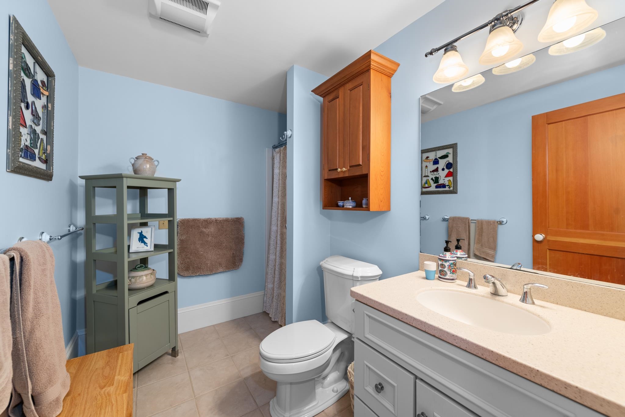 Bathroom - lower level