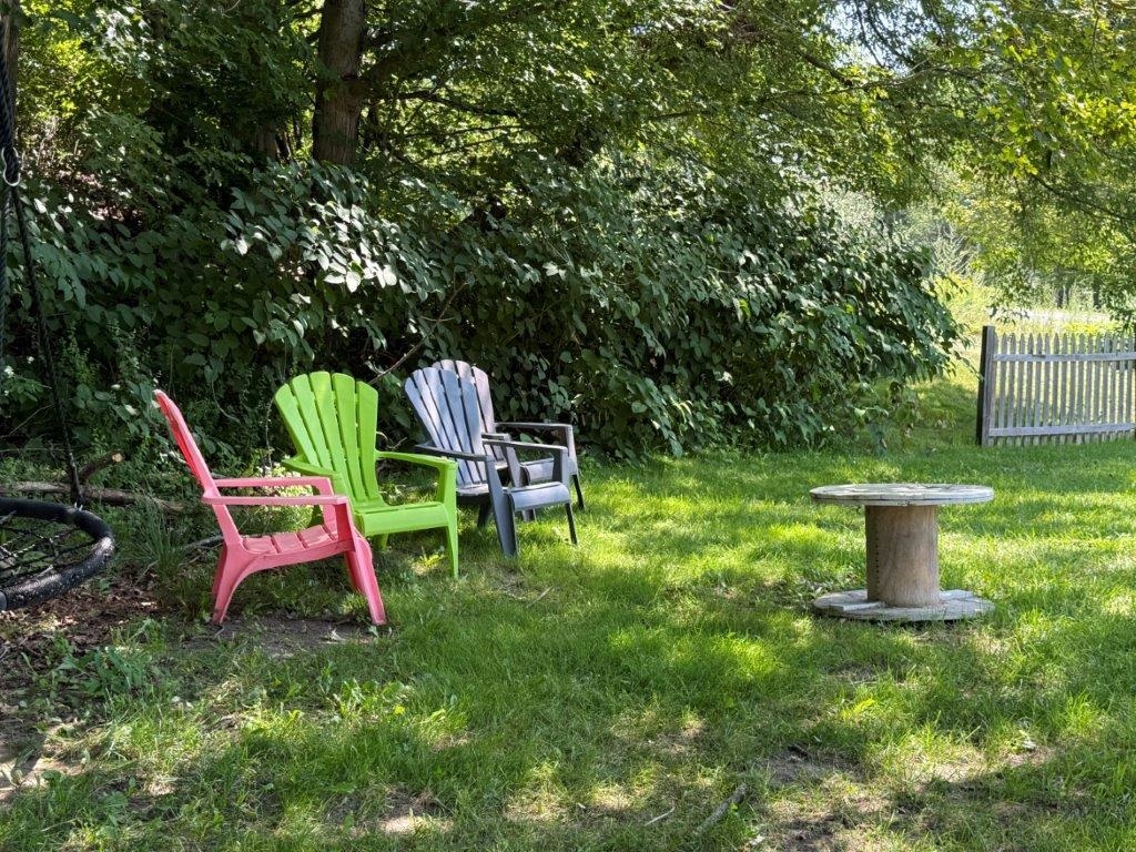 Great Back Yard 23861520