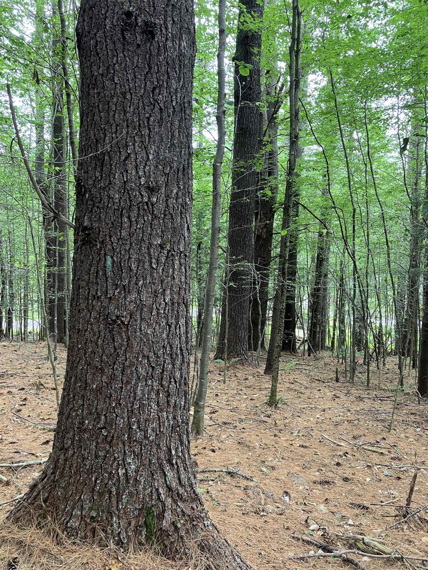 Guilford VT Land for sale $95,000 | 10.4 Acres  | Price Per Acre $0 