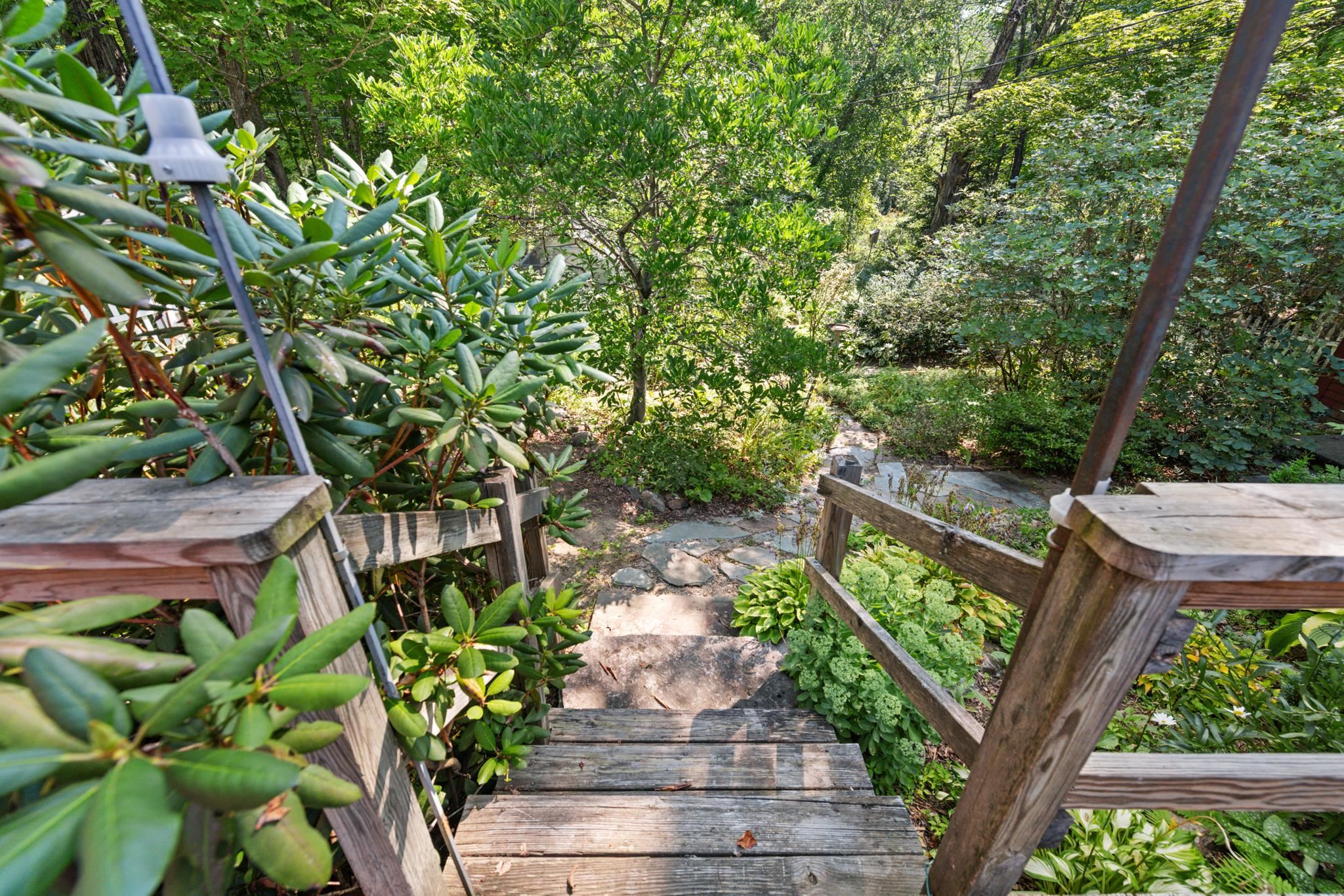 Here is the path to the secret day lily fields