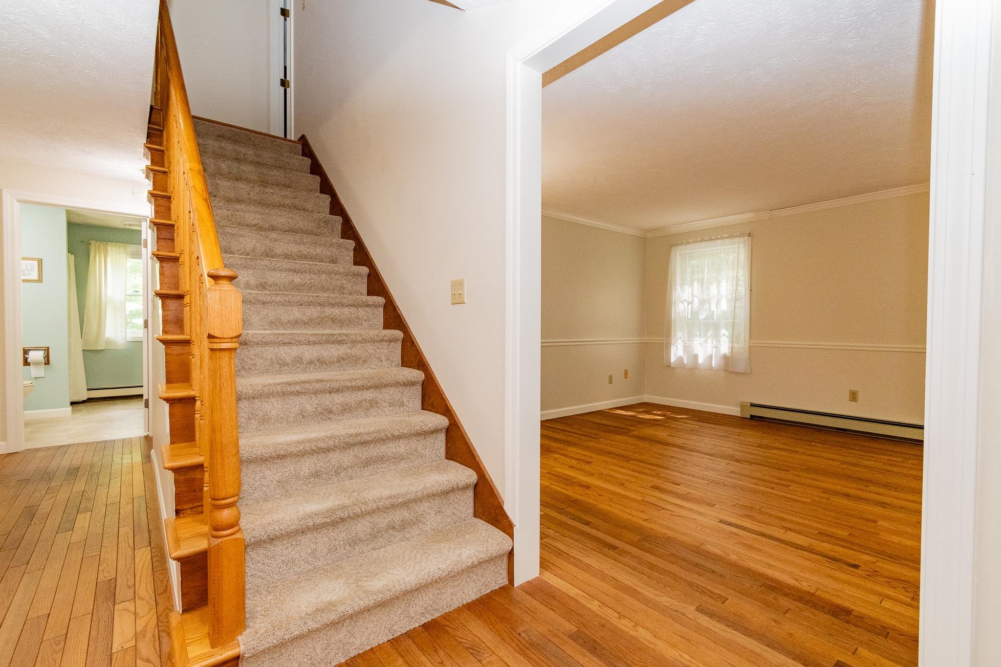Hardwood Floors 23974817
